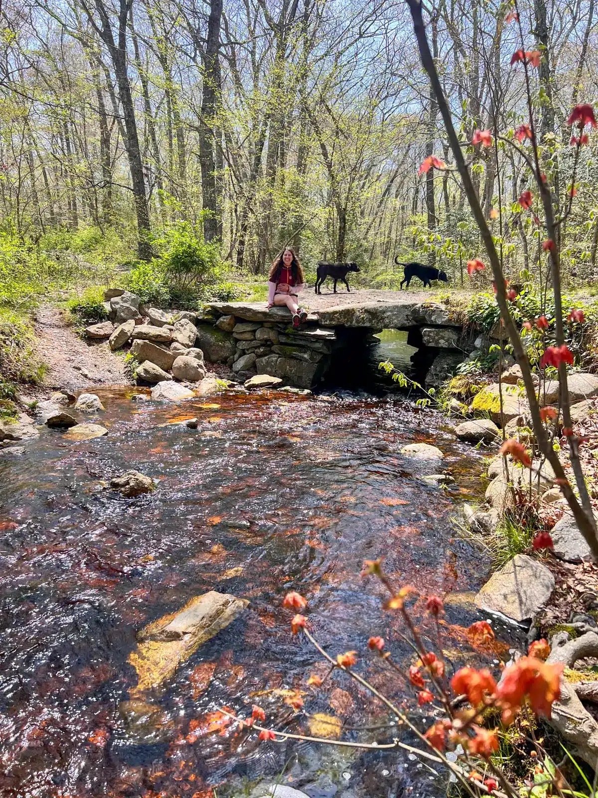 woman in pink jacket sitting on a stone bridge over water in weetamoo woods rhode island.