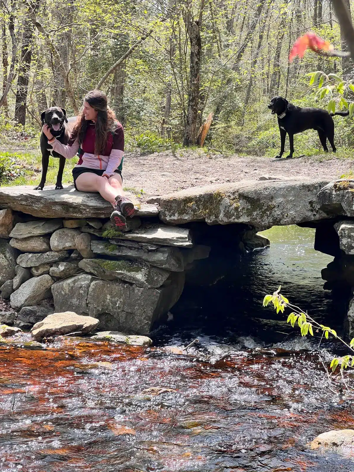 woman in pink jacket sitting on a stone bridge over water in weetamoo woods rhode island.