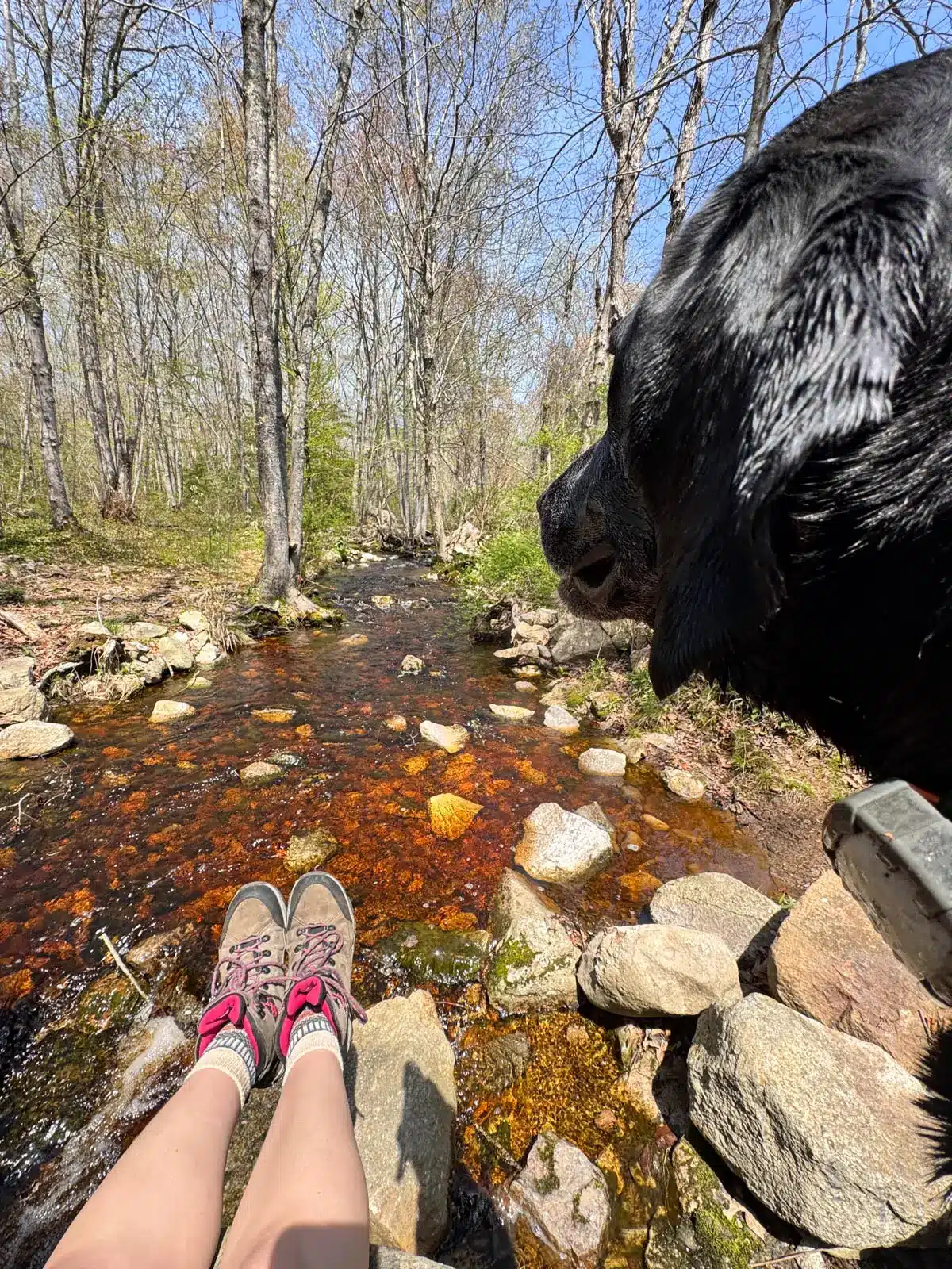woman's legs and boots hanging over edge of sone bridge and Borden Brook in Weetamoo Woods.