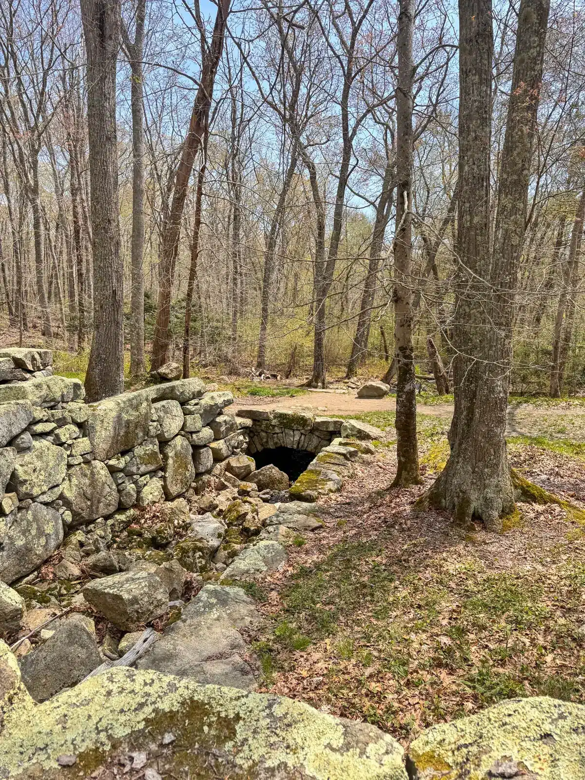 sawmill site with lots of stones in weetamoo woods.