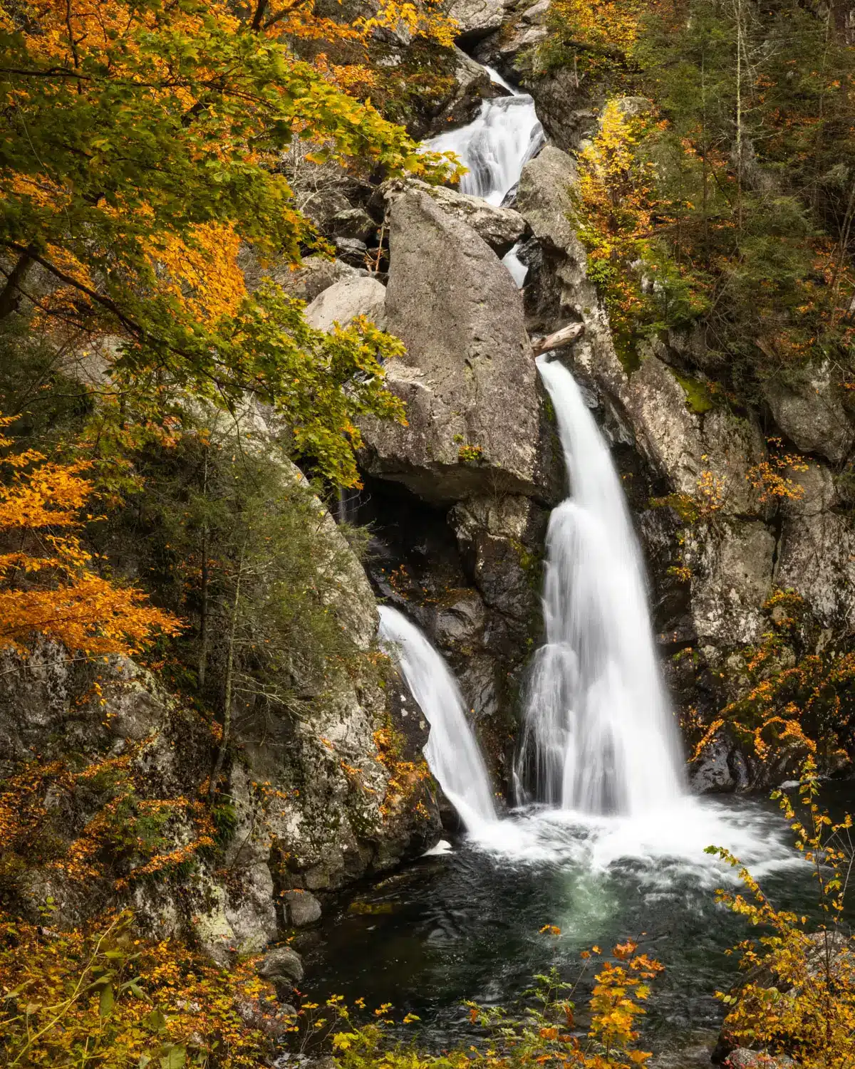 bash bish falls waterfall in fall surrounded by orange leaves.