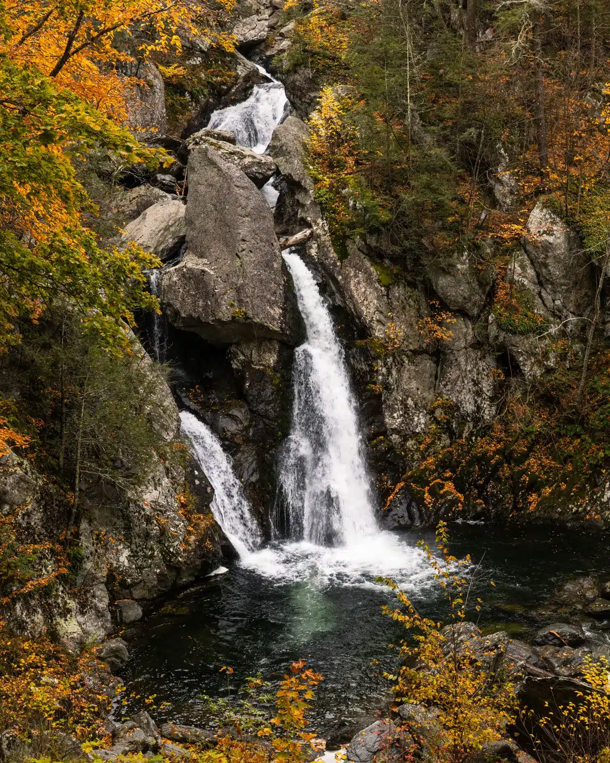 bash bish falls waterfall in fall surrounded by orange leaves.