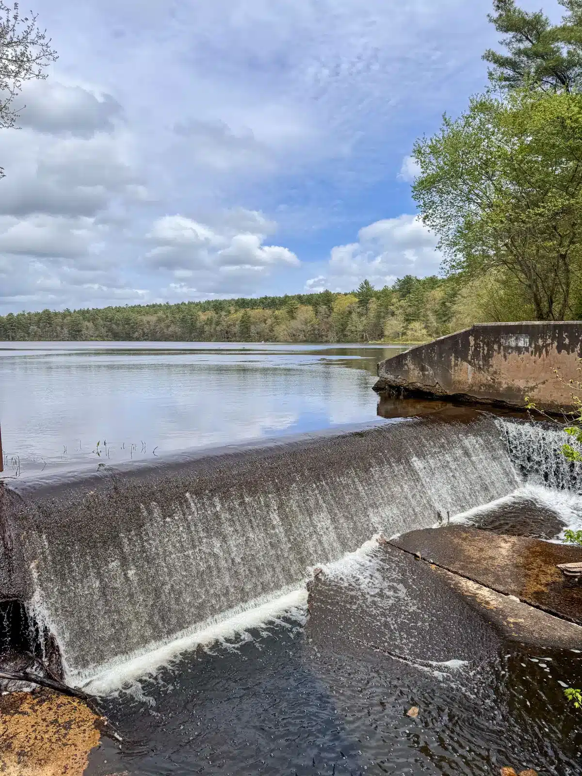 breakheart pond dam in rhode island surrounded by tall green trees with blue skies.