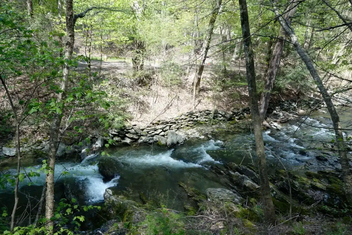 trail along bash bish brook in massachusetts.