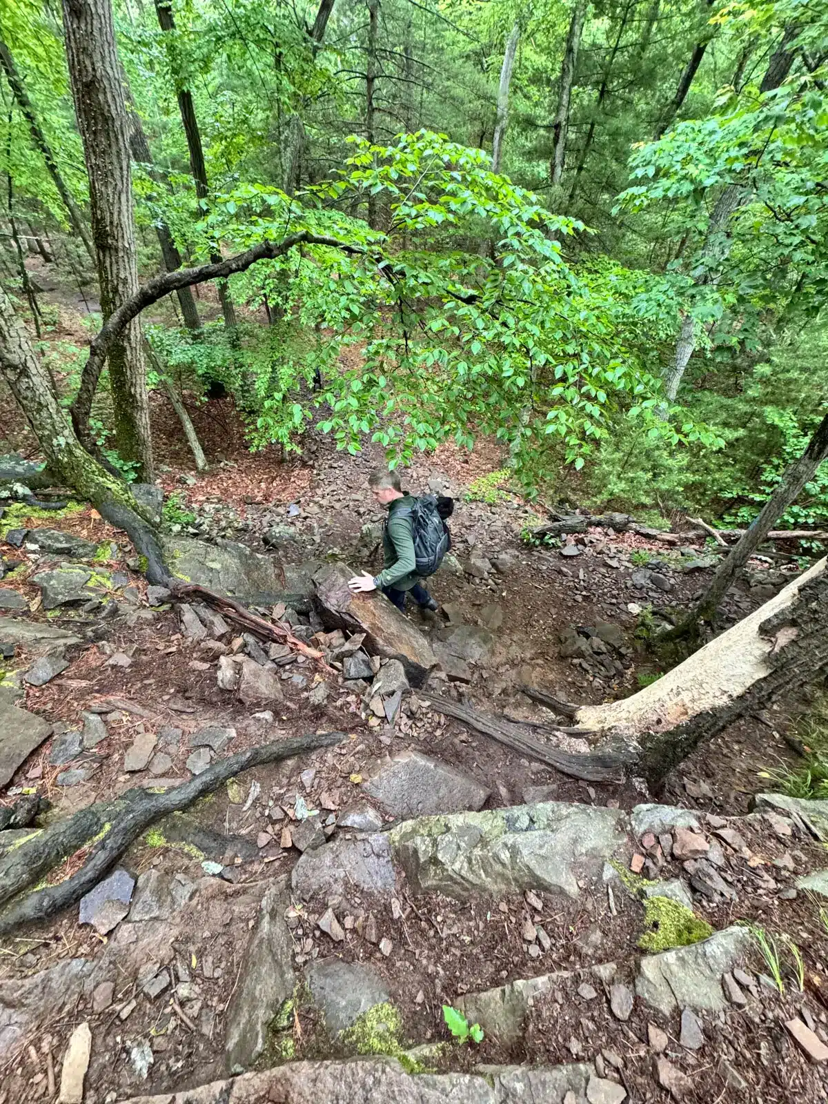 A man with a backpack hiking down a steep rocky scramble in a green forest in Blue Hills Reservation in Massachusetts.
