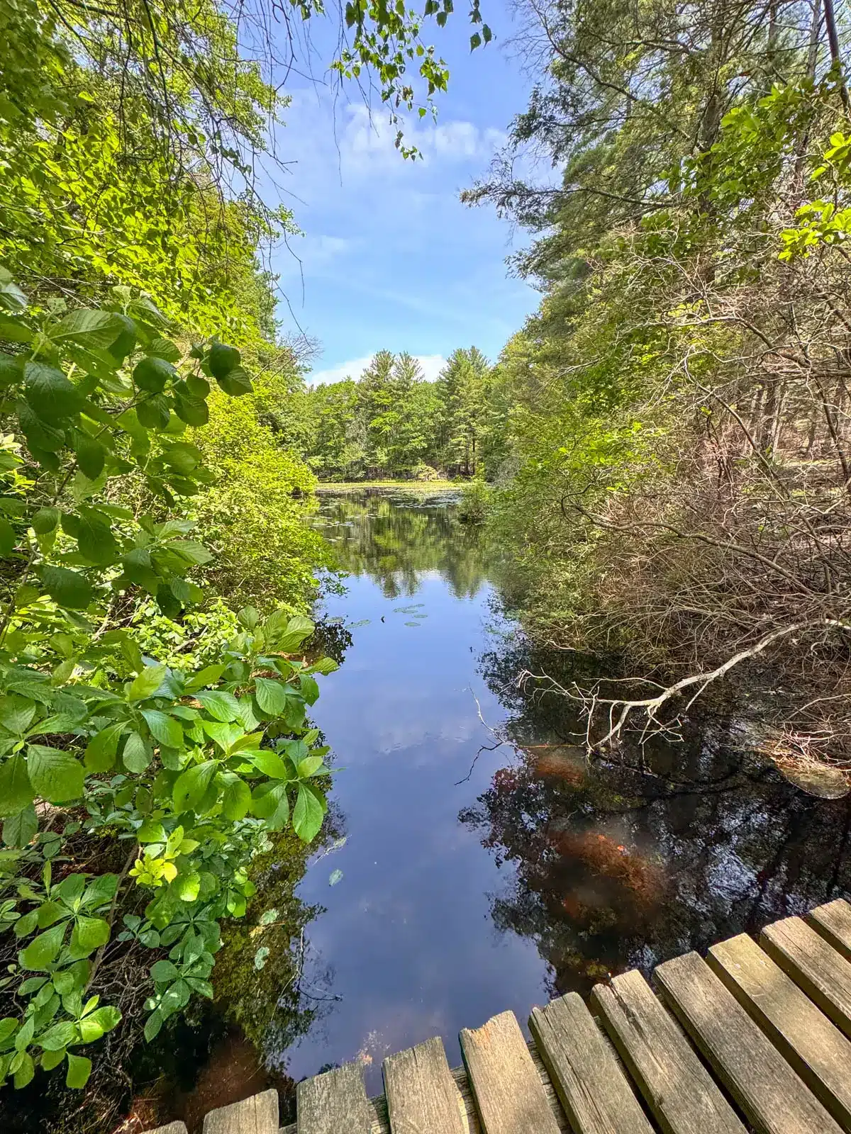 trail crossing over blue lake lined with green trees on a sunny day with blue skies at Breakheart Reservation.