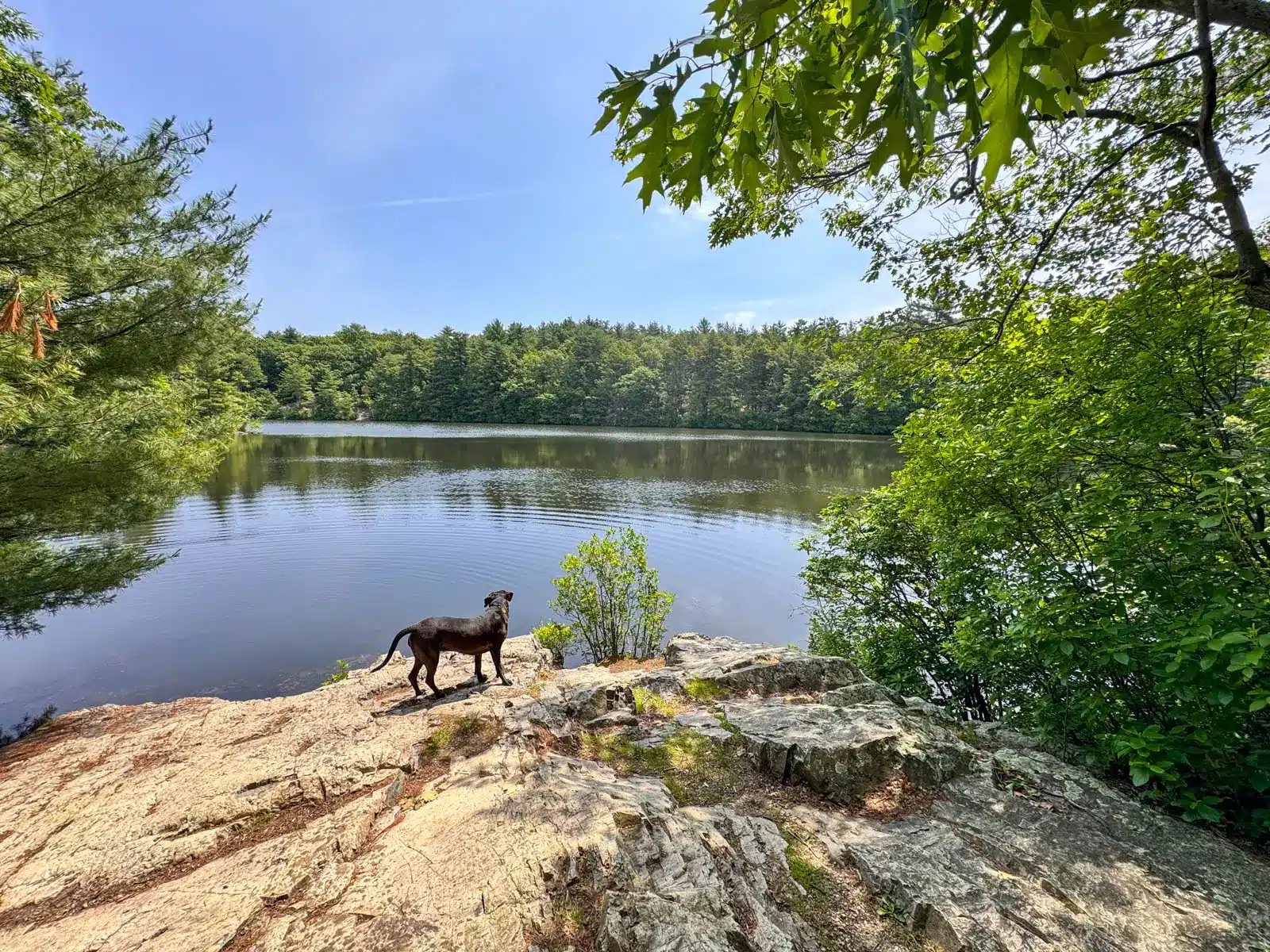 Breakheart Reservation