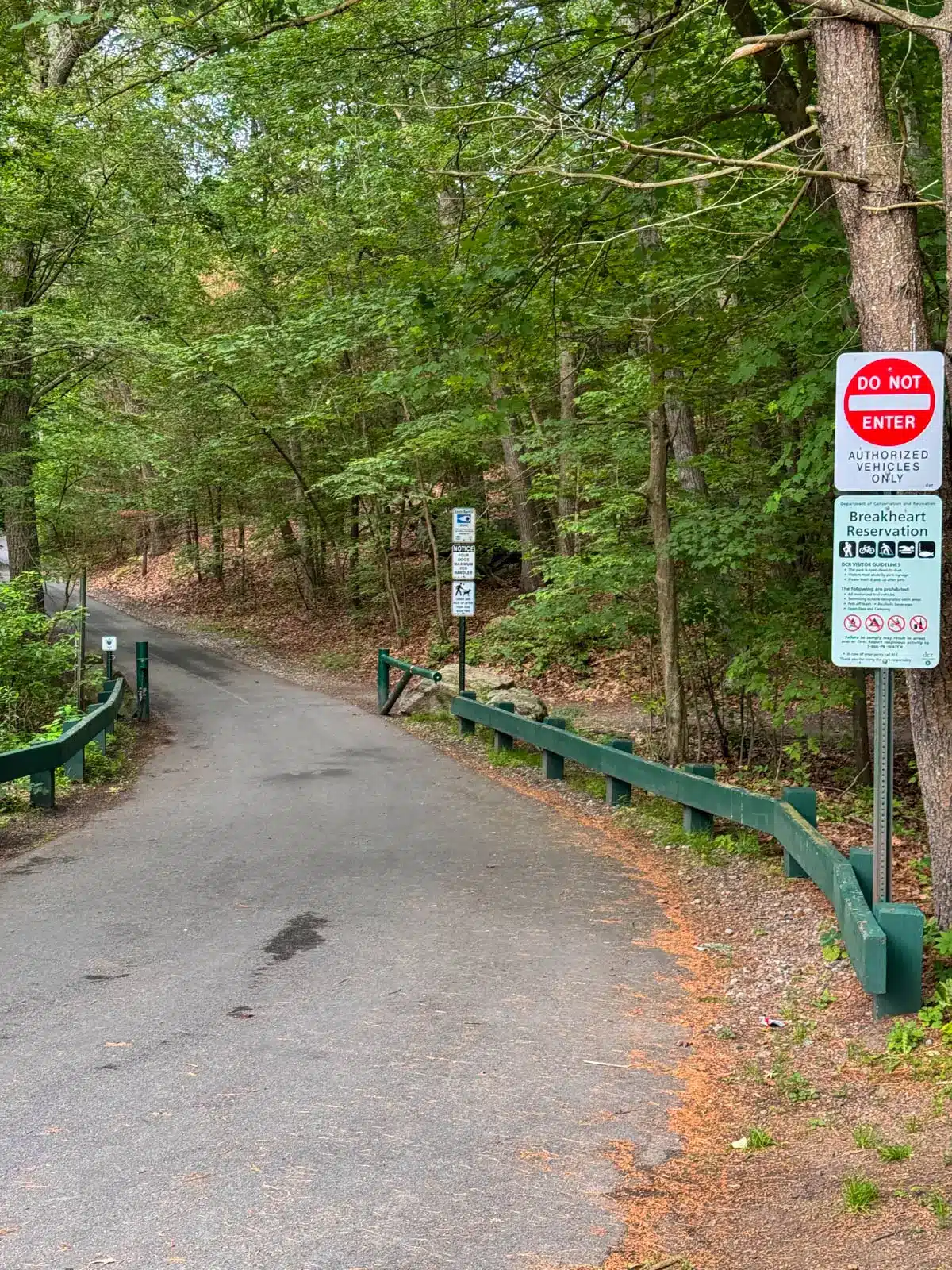 wide paved path at the start of the breakheart reservation hike in Massachusetts.