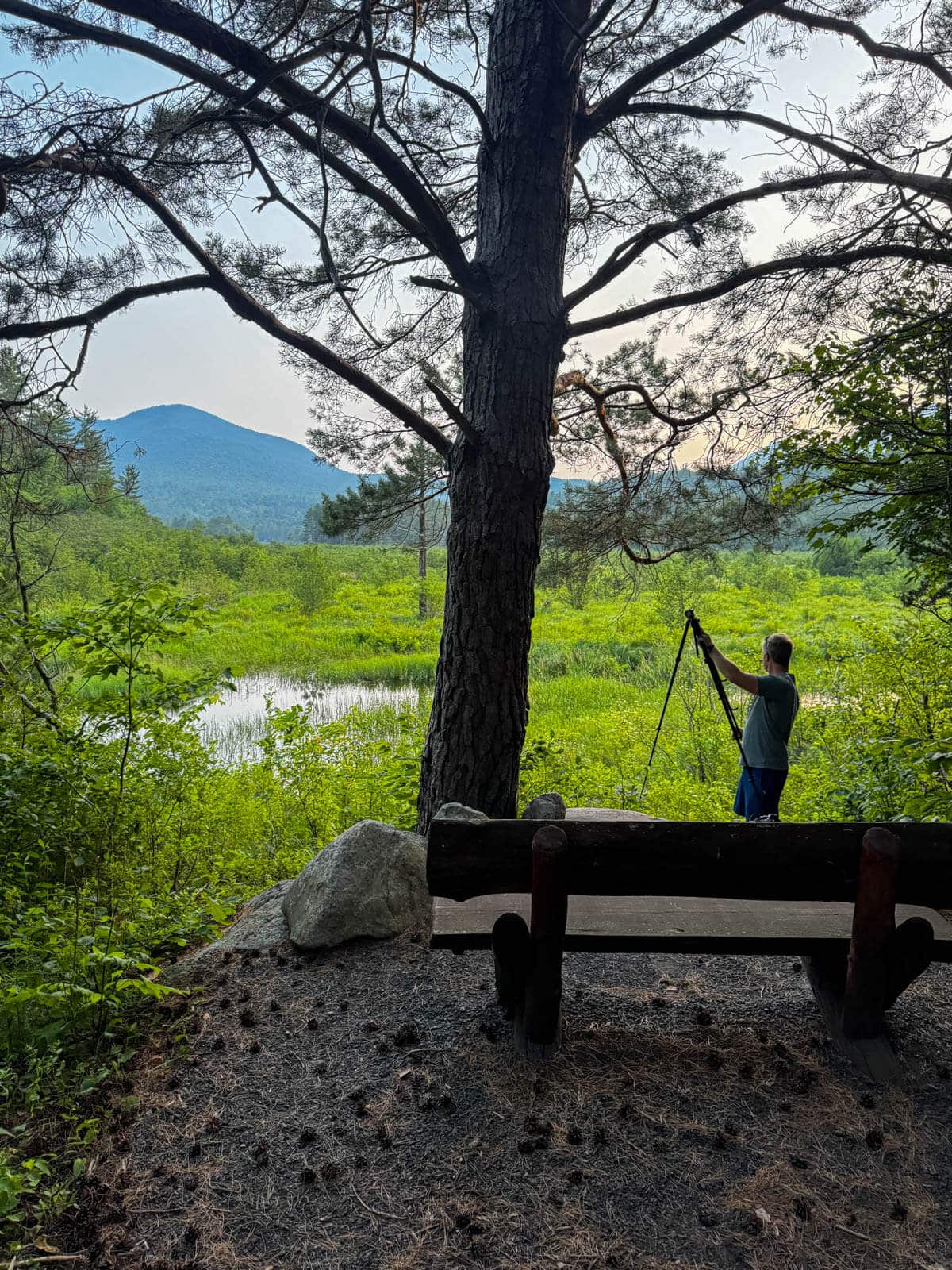 beaver brook view with bench at sunset time in wilmington ny.