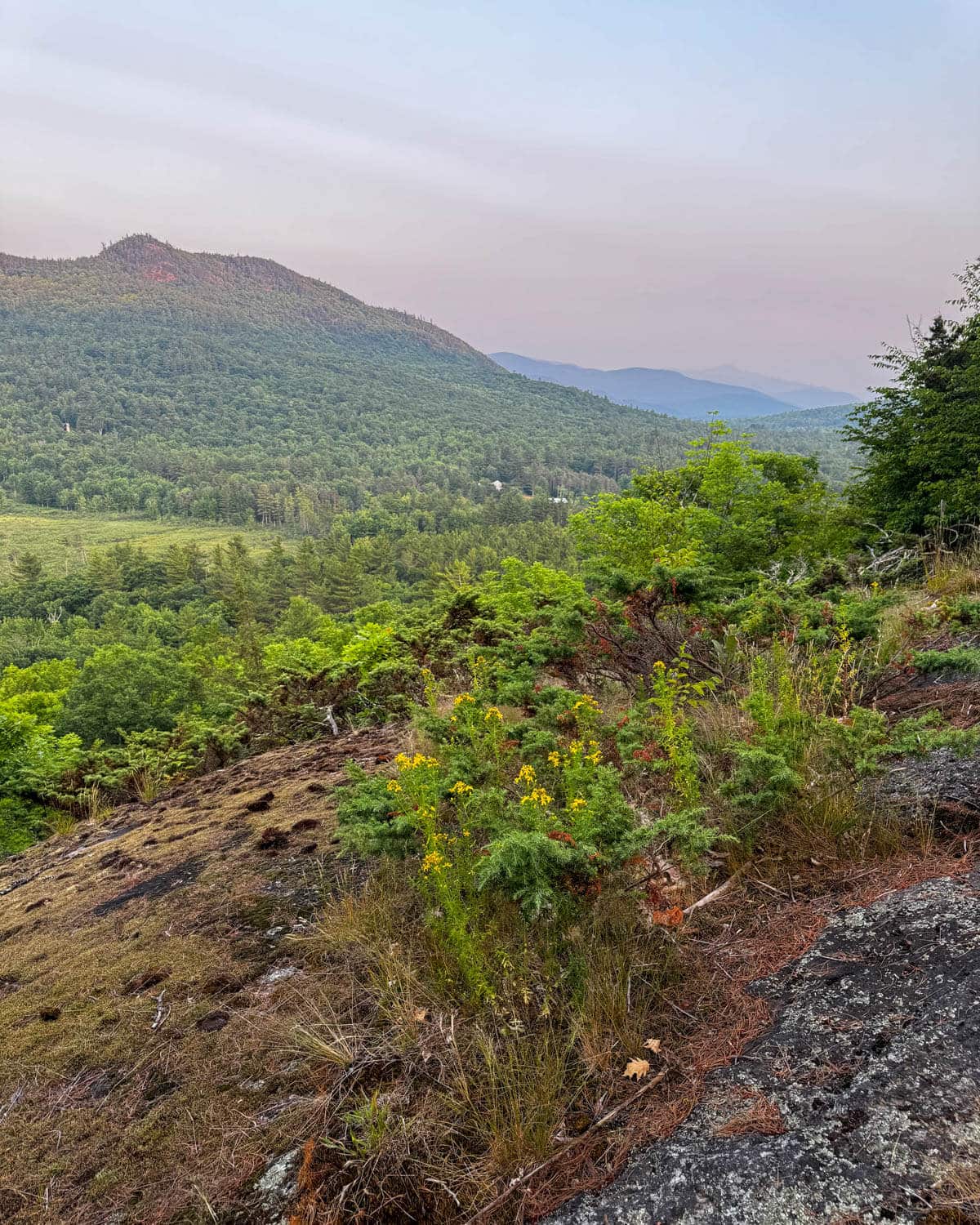 green mountain view at golden hour with soft pink sky in wilmington, new york.