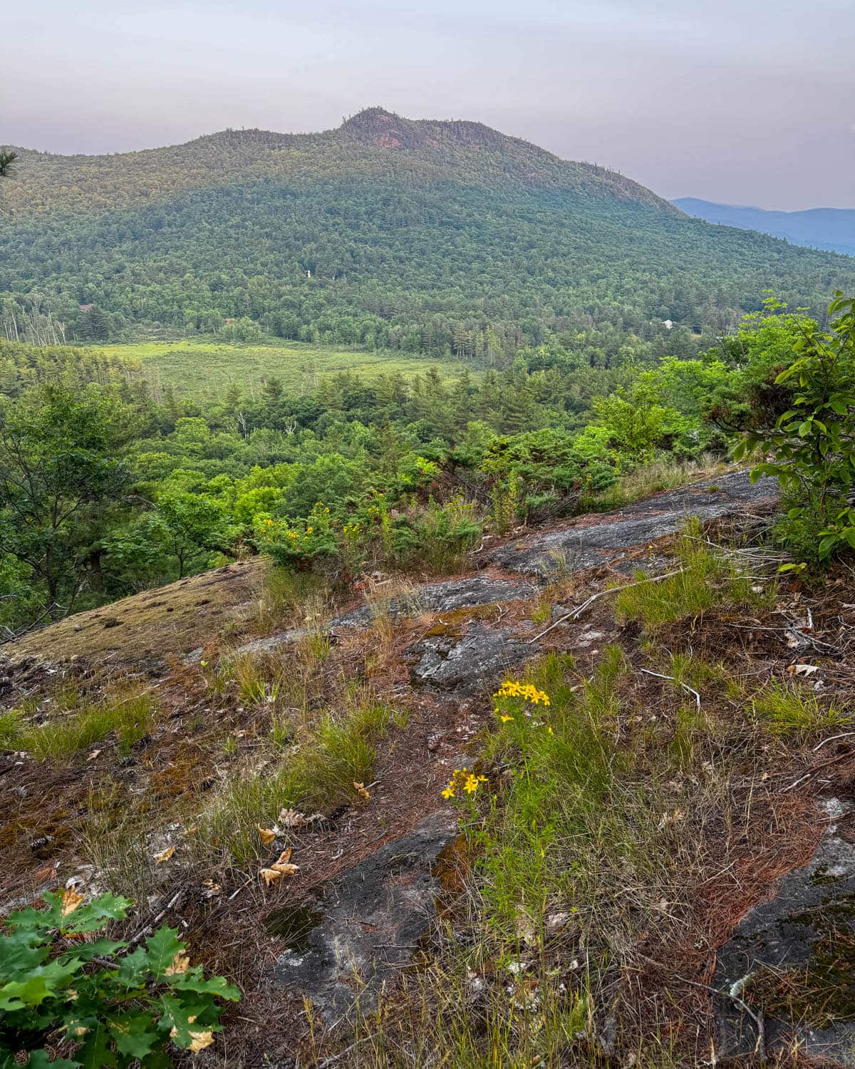 green mountain view at golden hour with soft pink sky in wilmington, new york.