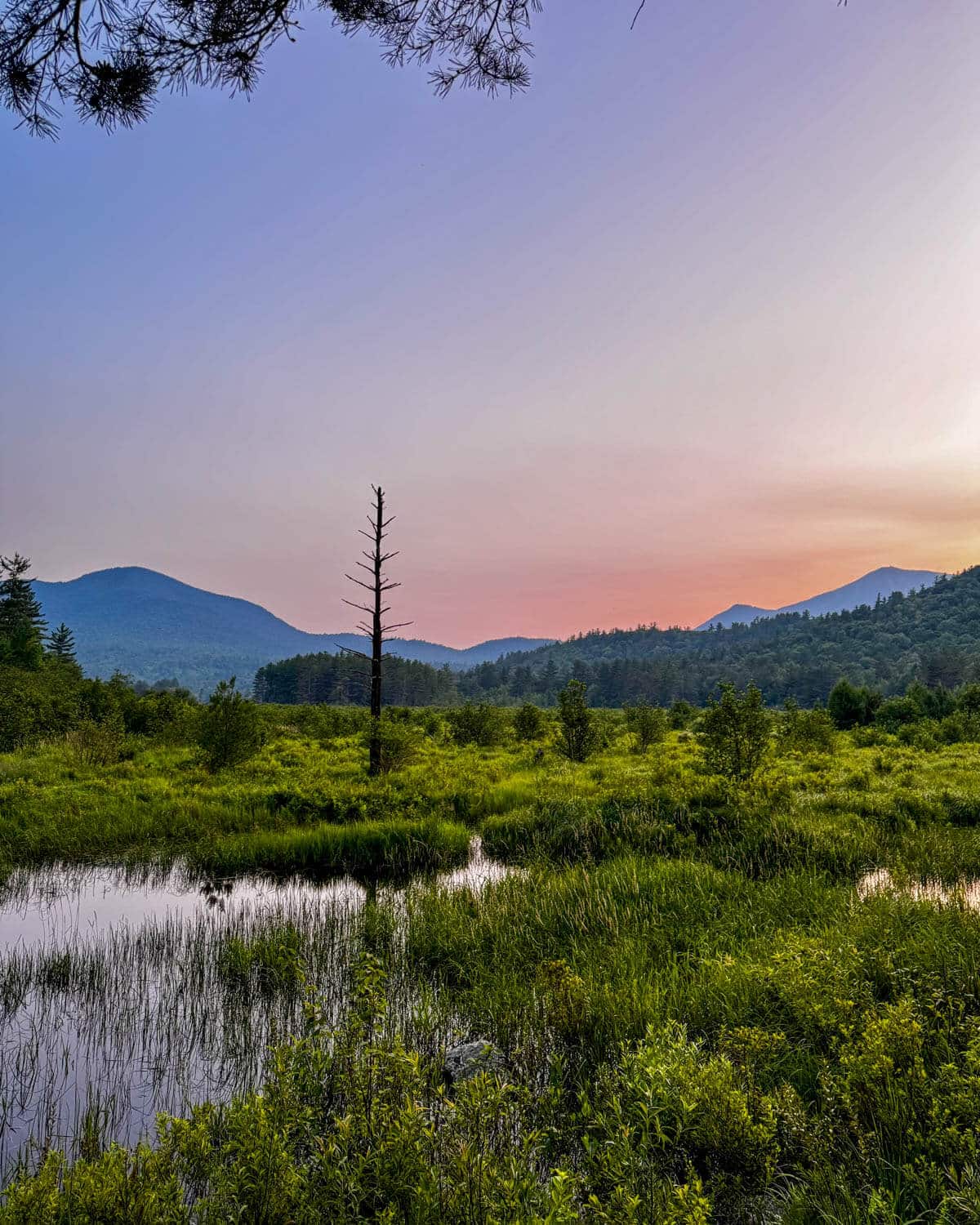 sunset view over meadow and brook with pink sky in the adirondacks.