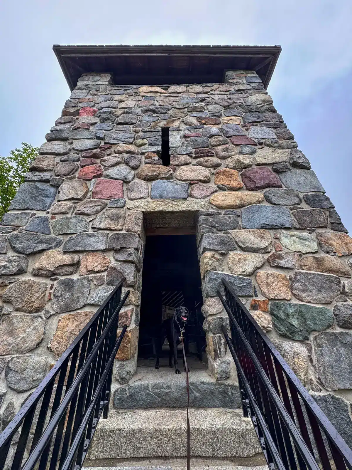black dog in doorway of Eliot Tower a big stone tower with steps and black railings leading up.