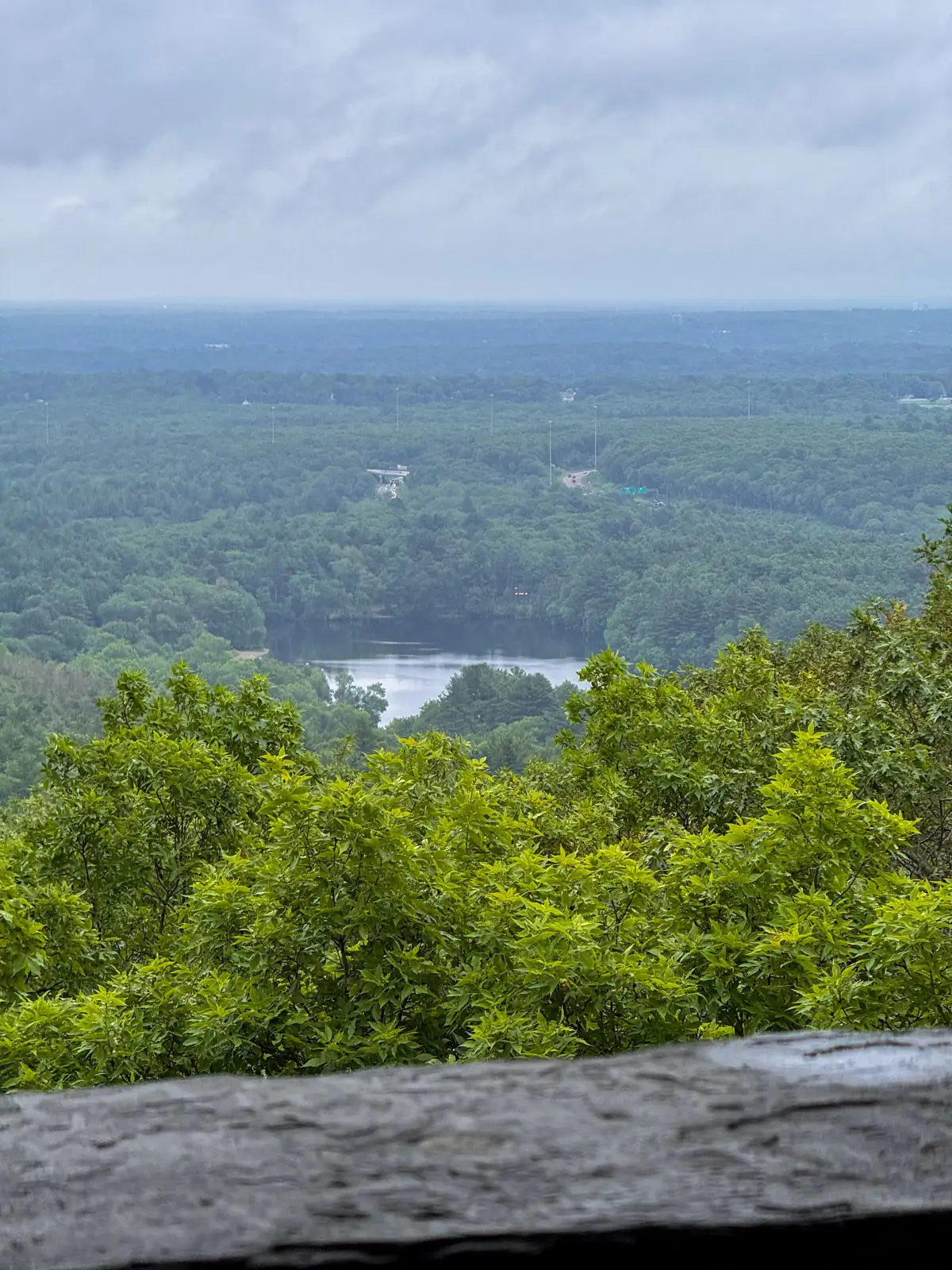 view from Eliot Tower on the skyline trail in massachusetts with green trees and hills in the distance.