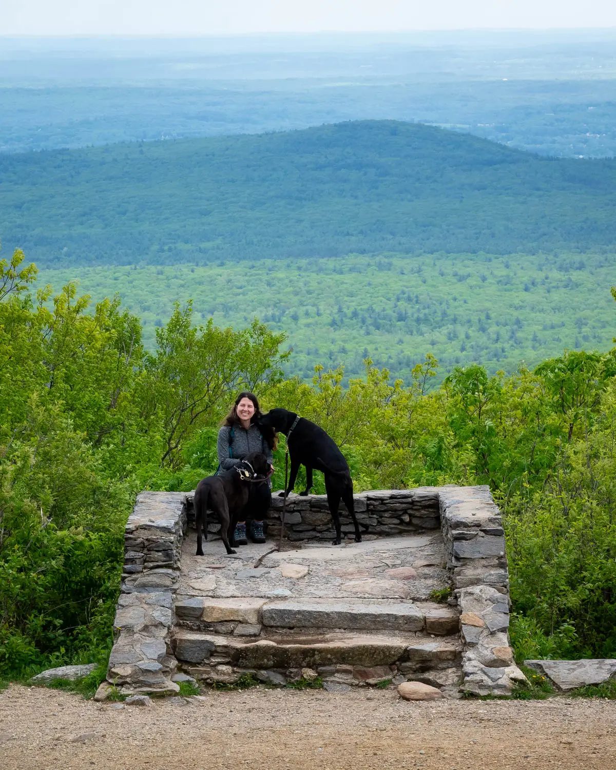 woman smiling at the top of mount wachusett with green mountains behind her and two black dogs with her.