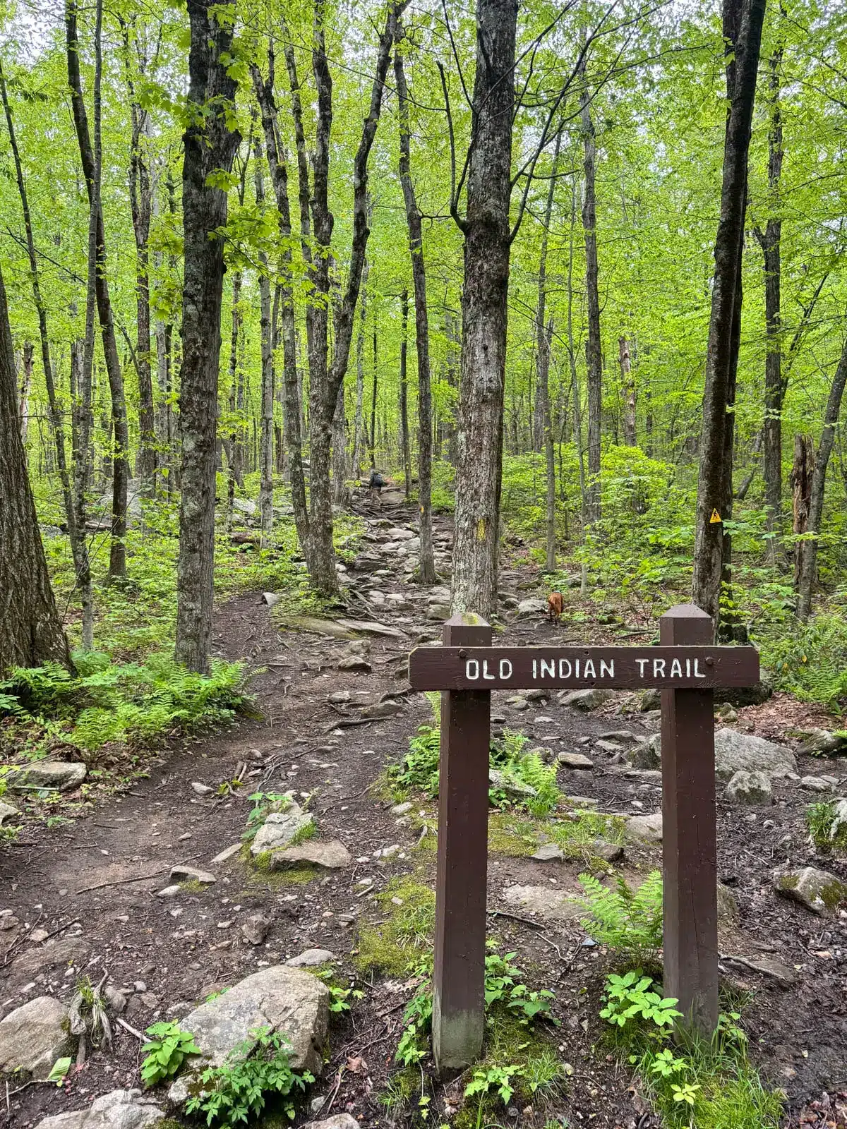 trail sign at mount wachusett.