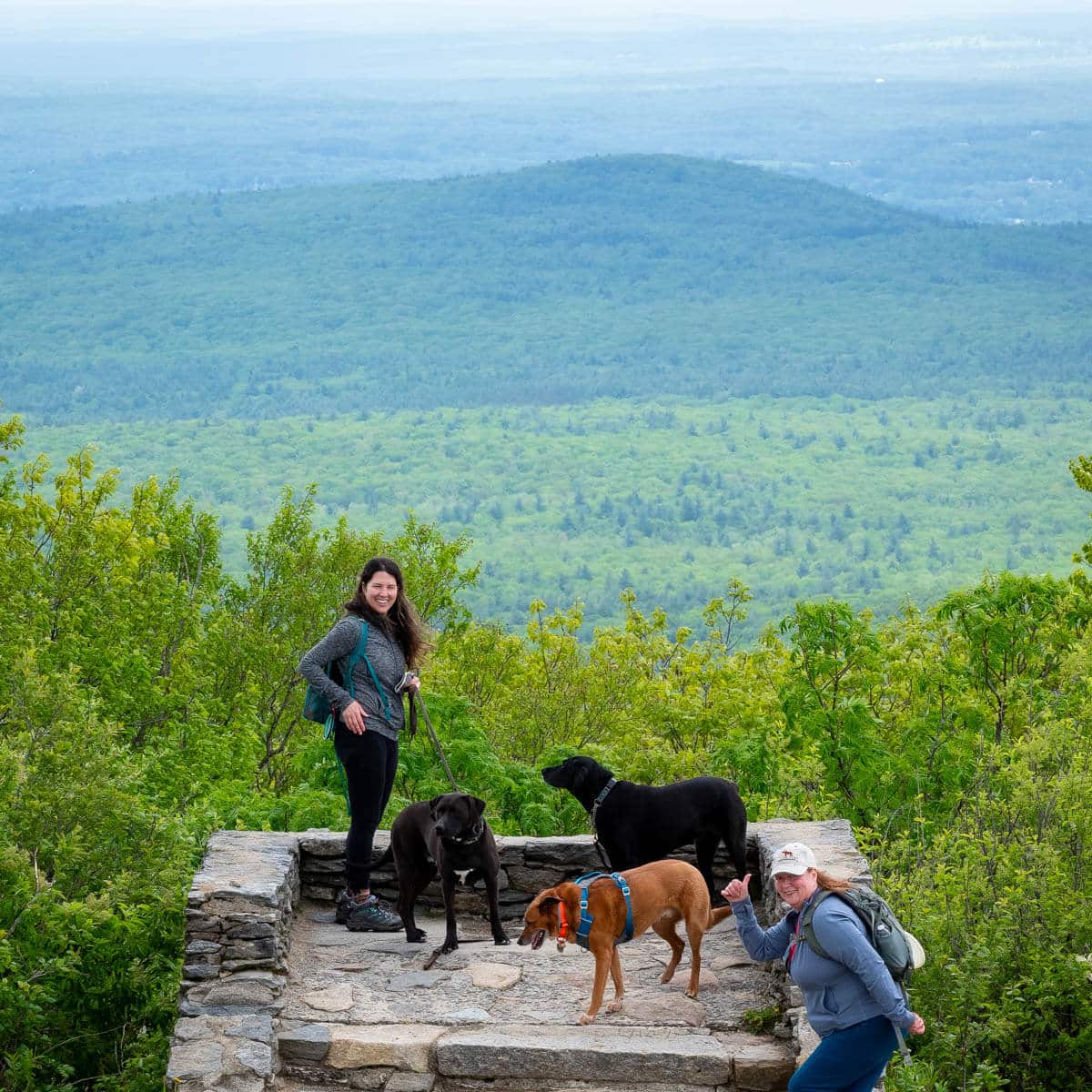 woman smiling at the top of mount wachusett with green mountains behind her and two black dogs with her.