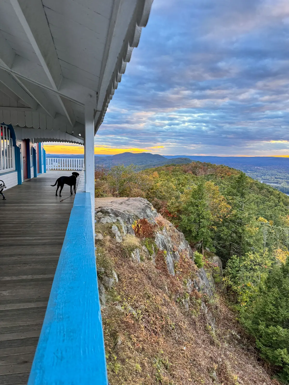black dog standing on white deck of the summit house at skinner state park with a sunset orange sky in the background.