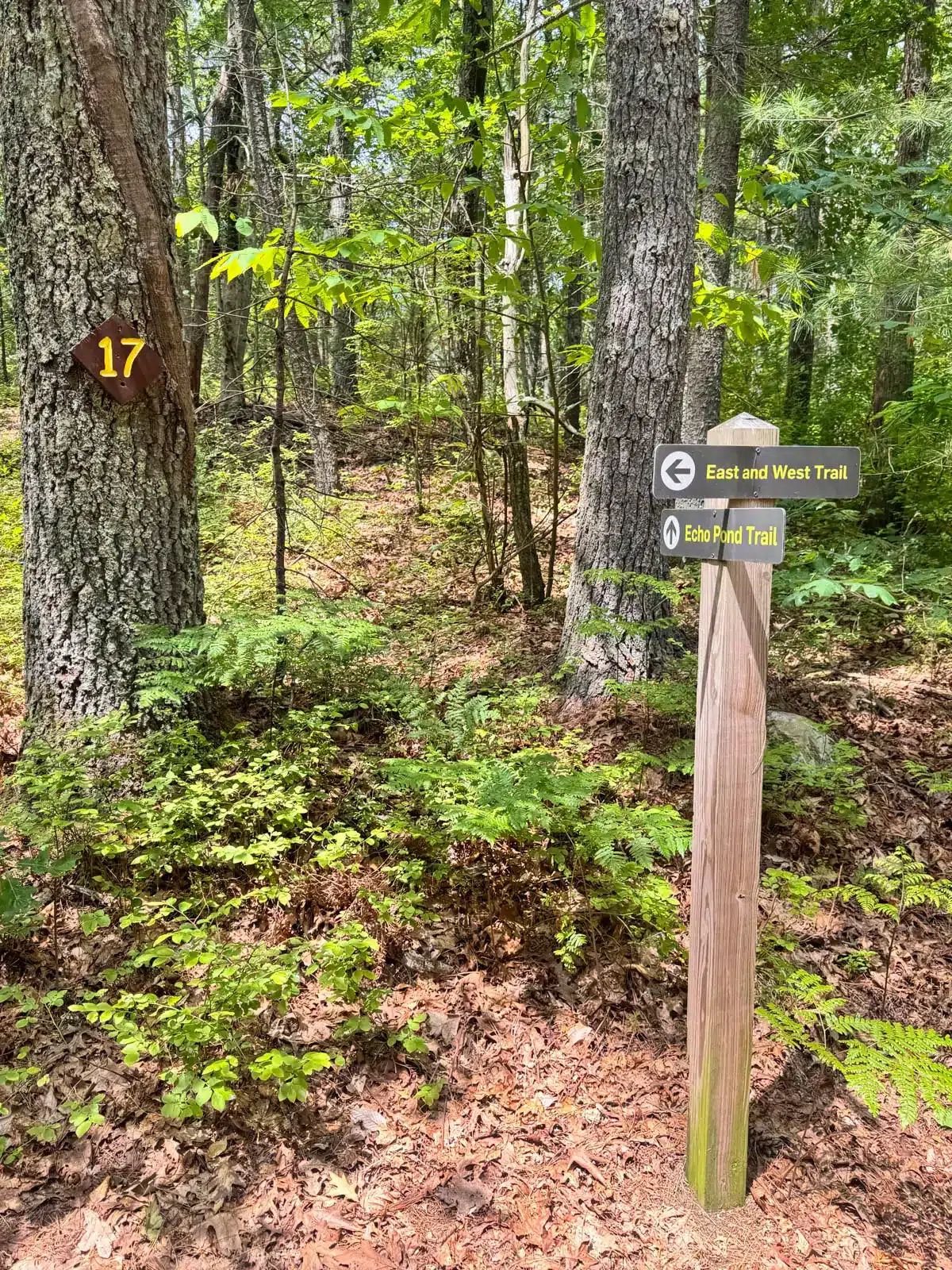 trail sign and map on a path at Rocky Woods in Medfield Massachusetts.