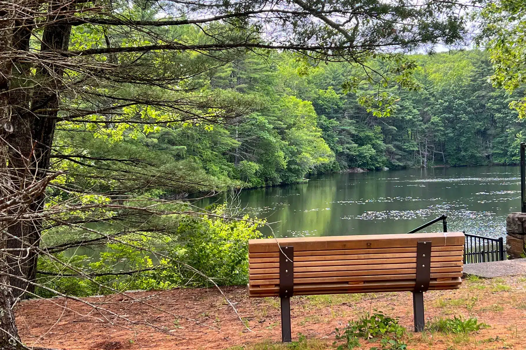 brown bench ovrelooking Chickering Lake bordered by green trees at Rocky Woods.