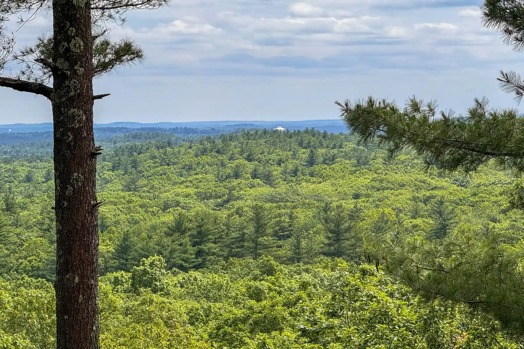 landscape photo of wide open green view of mountains and trees below at Rocky Woods in Medfield Massachusetts.