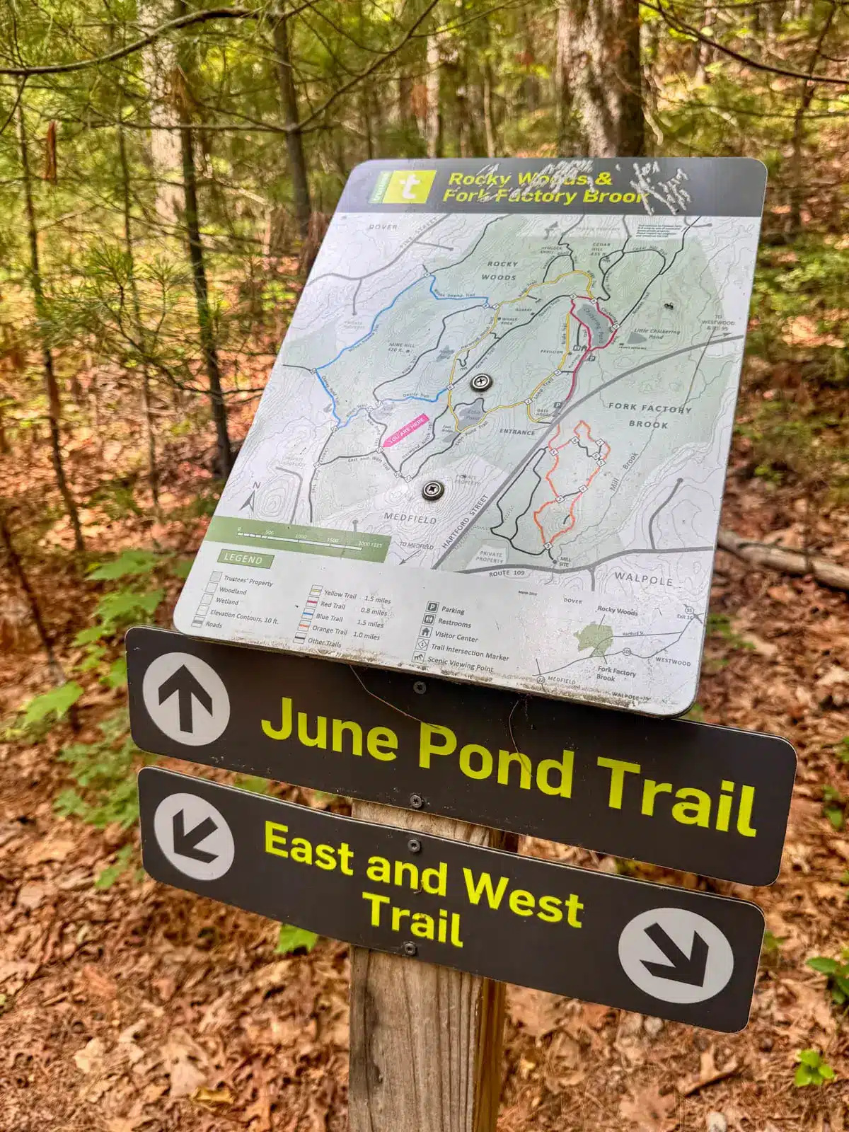 june pond trail sign and map at Rocky Woods in Medfield Massachusetts.