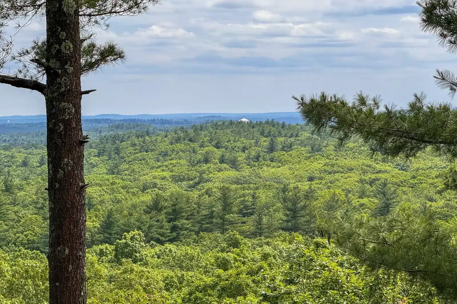 wide open summit view with rolling green hills in the distance on a hike in Massachusetts.