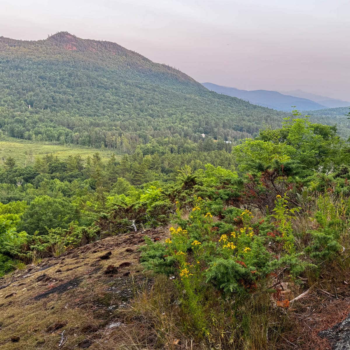 lookout from the double time trail, Wilmington new york hike with green Mountain in distance and soft pink skies.