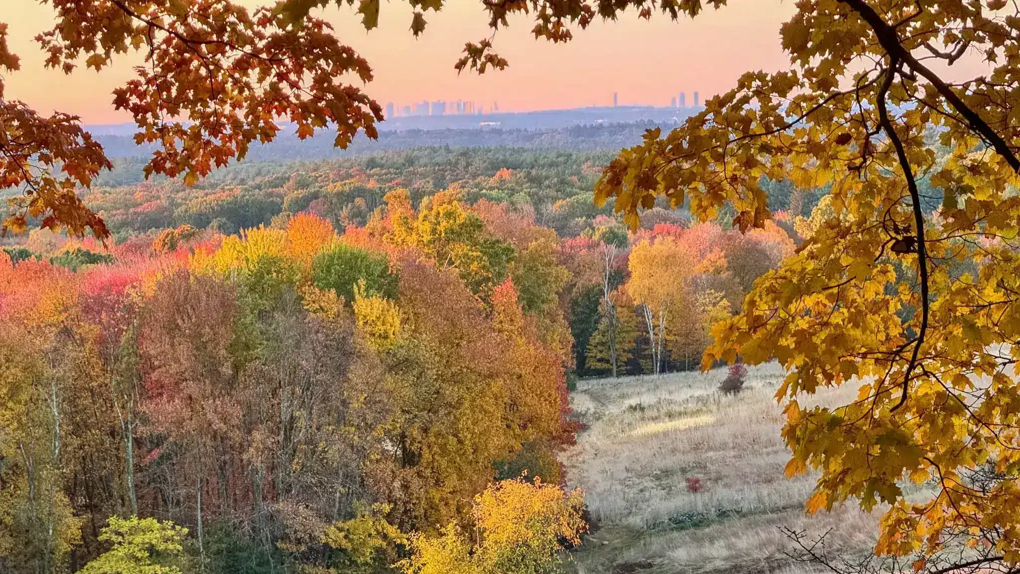 view from holt hill toward boston skyline in fall