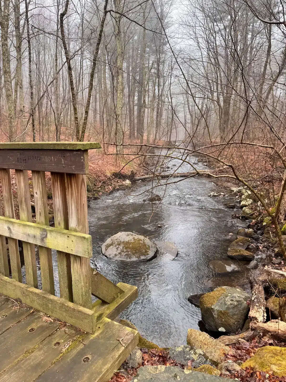 wooden bridge over a river on a hike in spring with bare trees and a brown pine path at gay city state park.