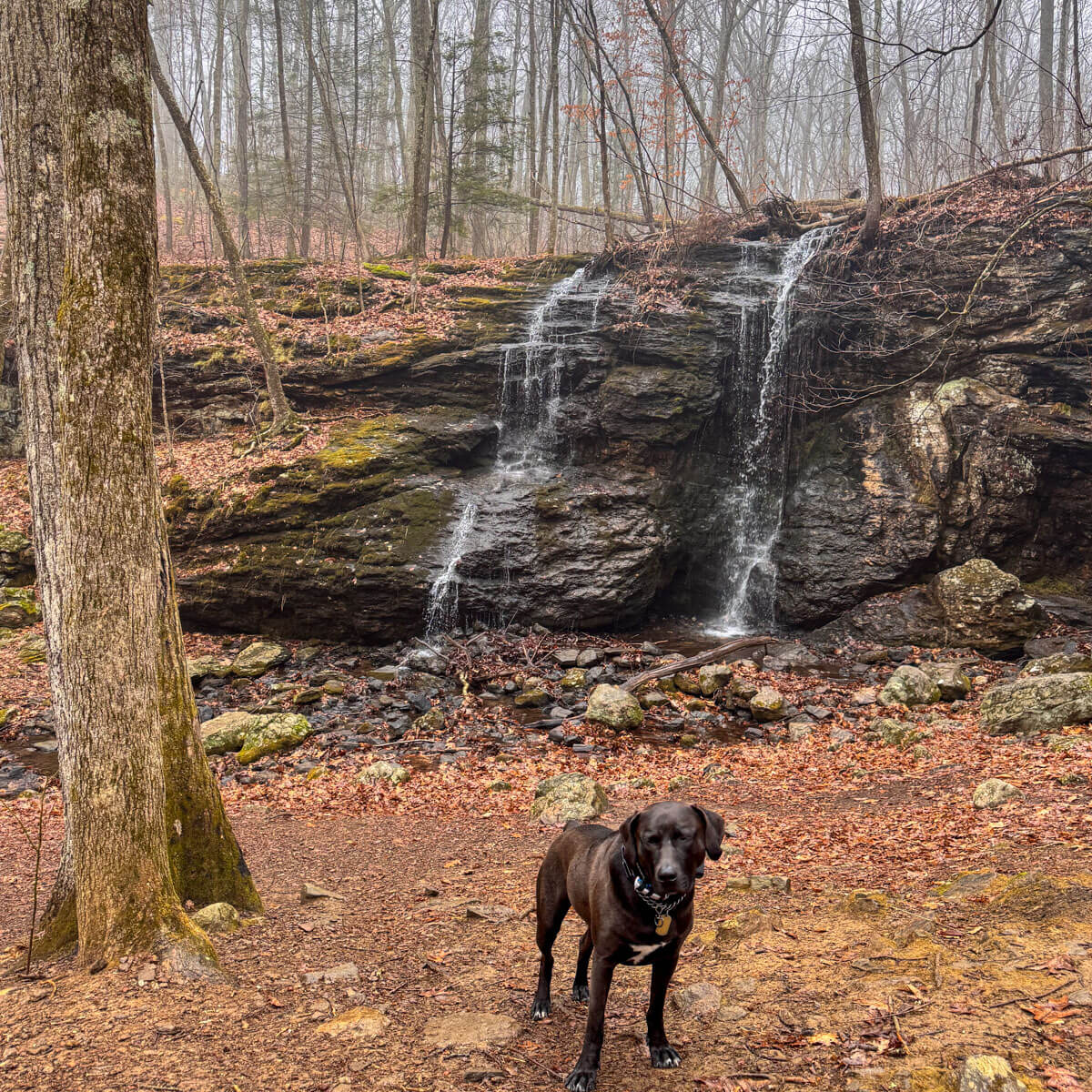 Blackledge Falls Hike at Gay City State Park, CT