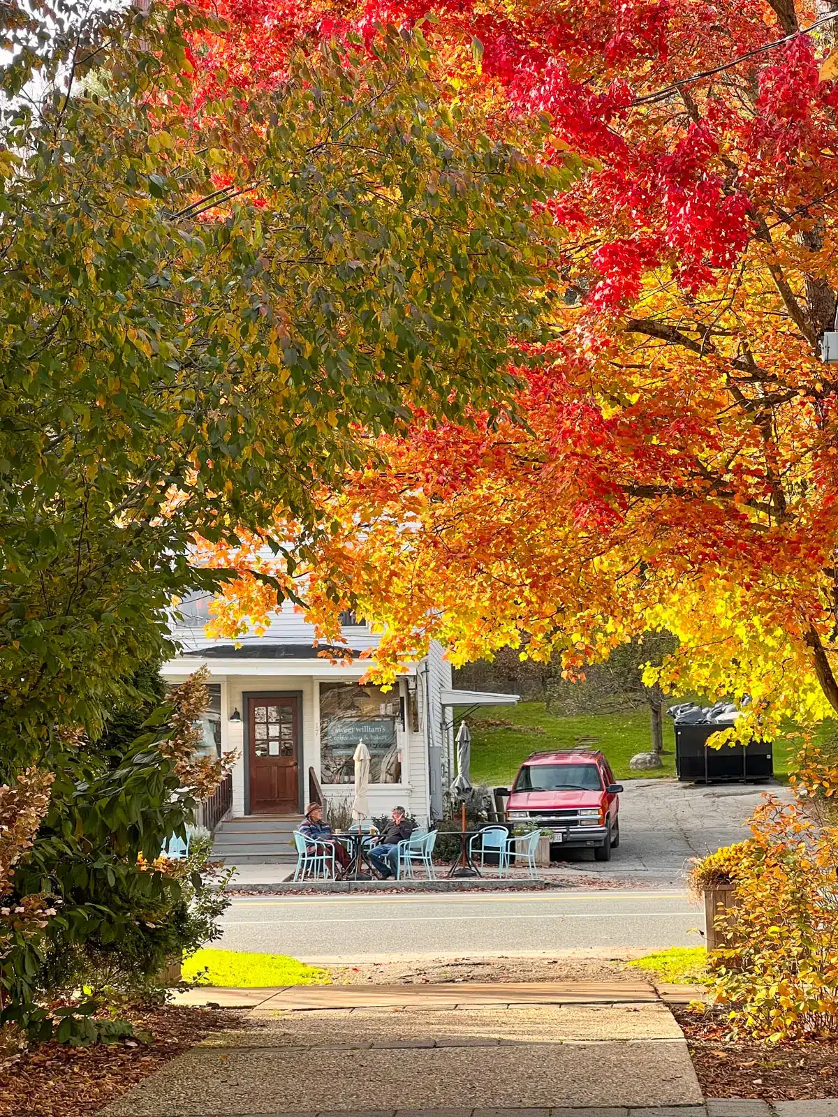 downtown salisbury connecticut with red leaved tree at fall lining the sidewalk.