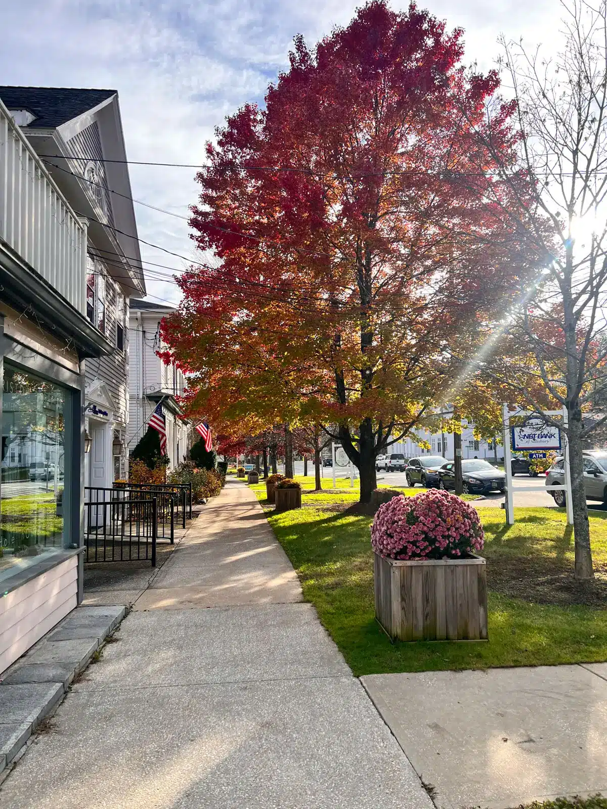 downtown salisbury connecticut with red leaved tree at fall lining the sidewalk.