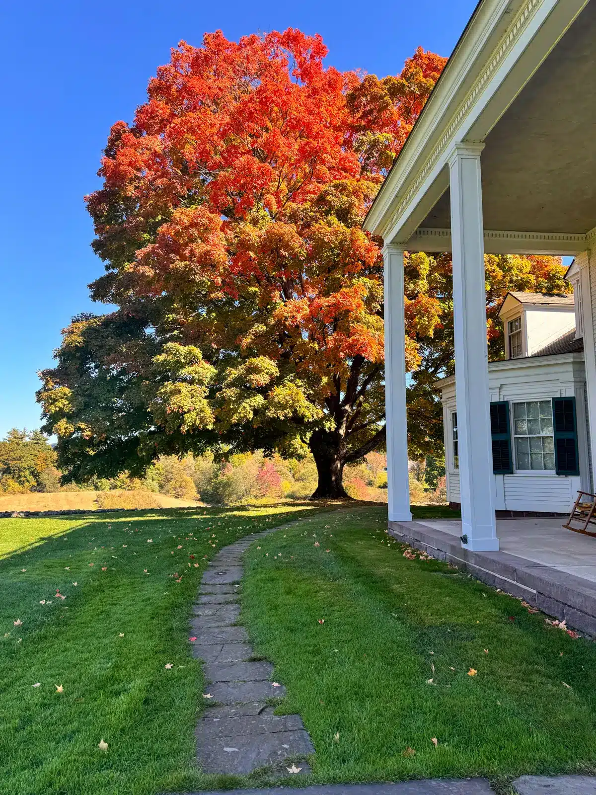hill-stead museum with big white colonial and sidewalk and white fence surrounded by orange and yellow leaved trees.