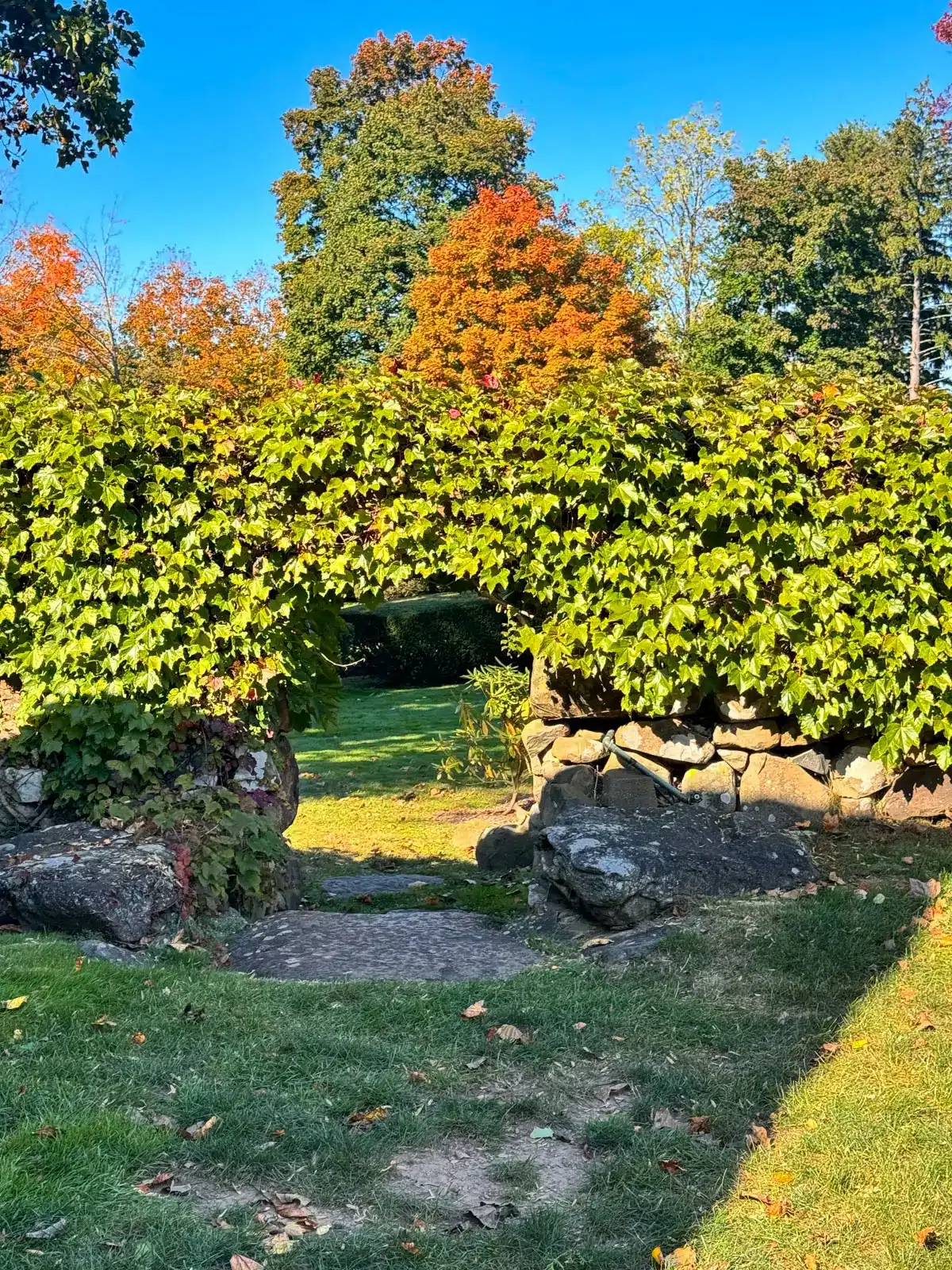 hill-stead museum with big white colonial and sidewalk and white fence surrounded by orange and yellow leaved trees.