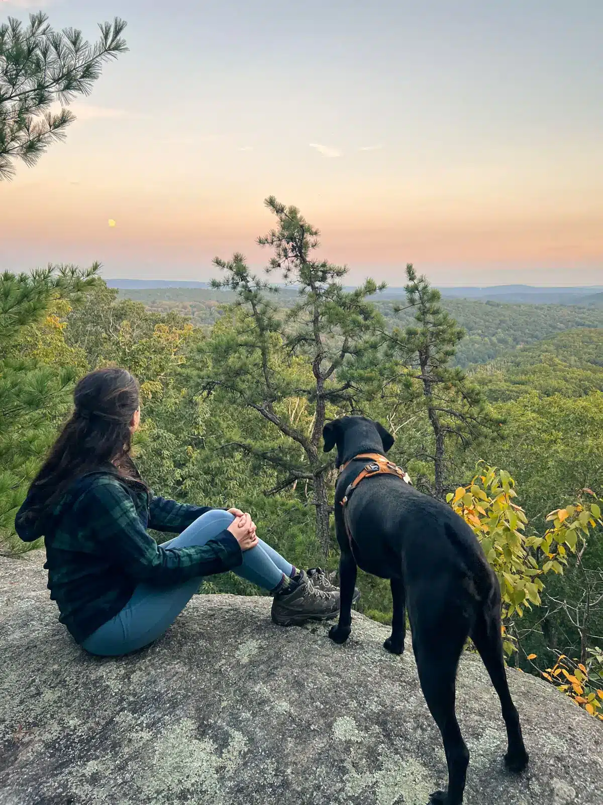 woman with brown hair in green flannel with black dog on overlook at sunset time with soft pink and blue skies.