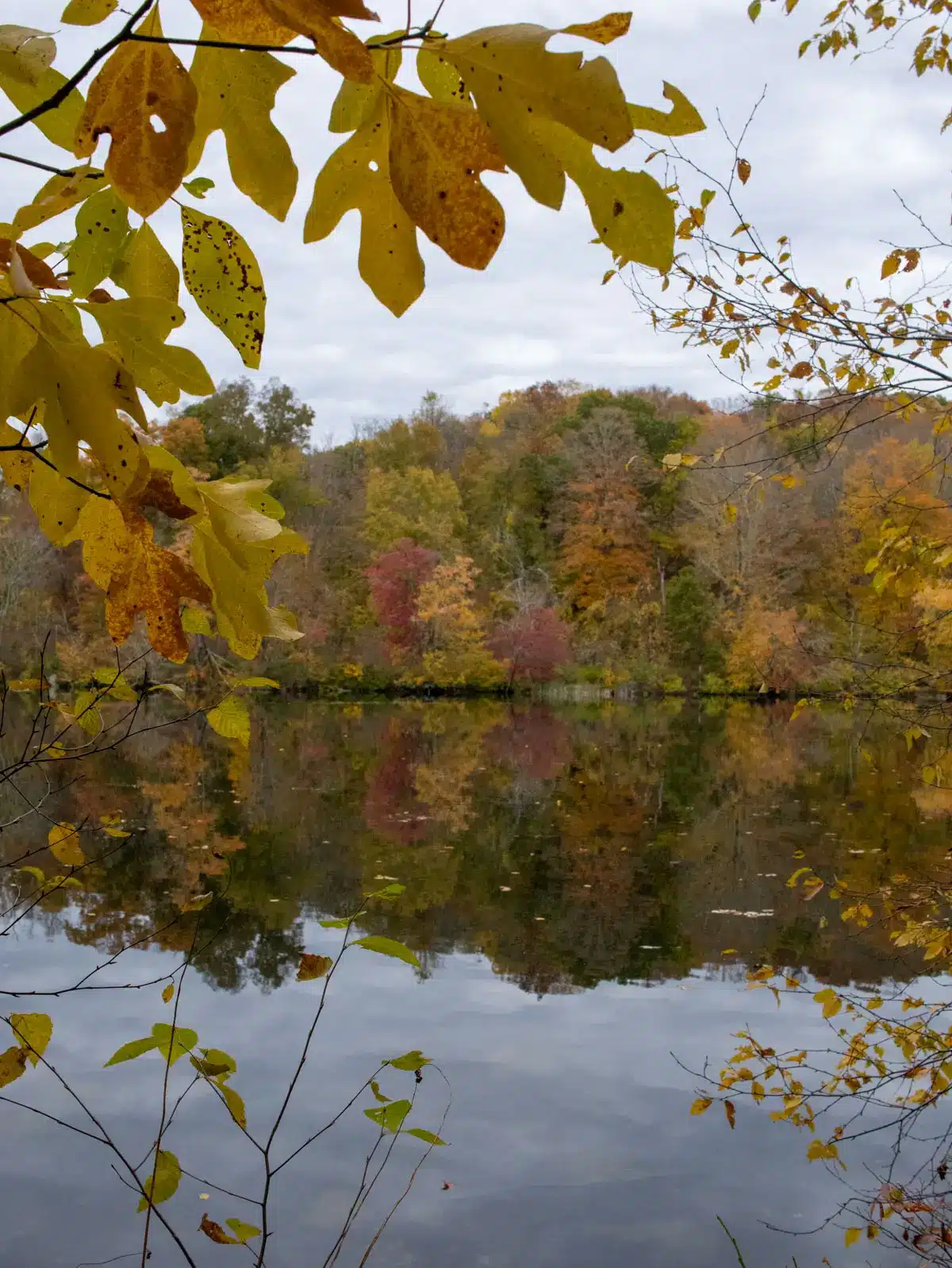 lake in Connecticut framed by orange and brown leaves.