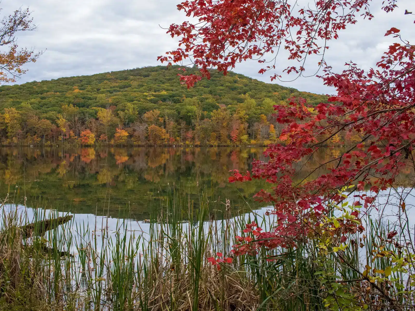 fuller pond in connecticut framed by red leaves.