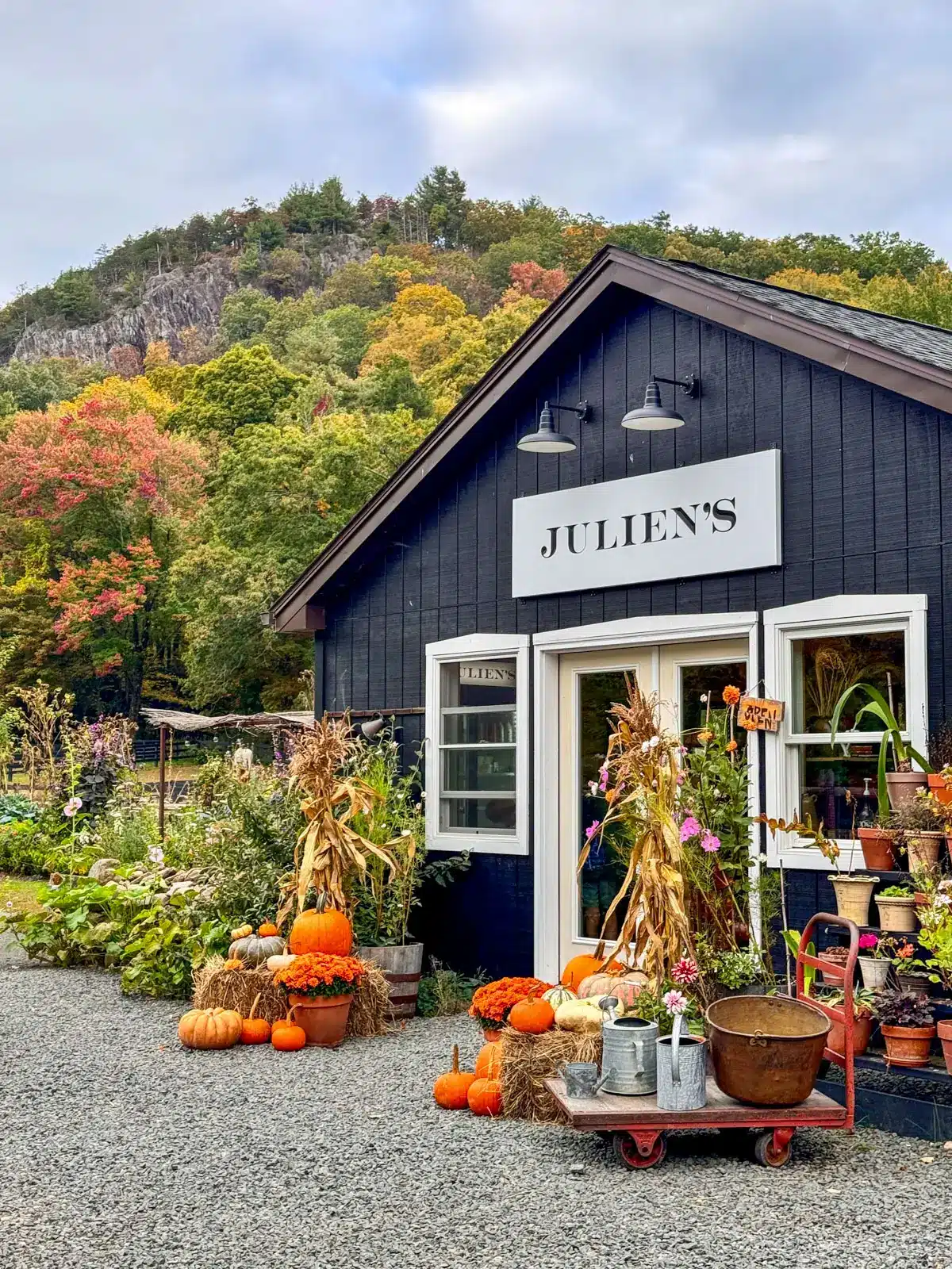 outside juliens farmstore in fall with pumpkins outside and hill in distance.