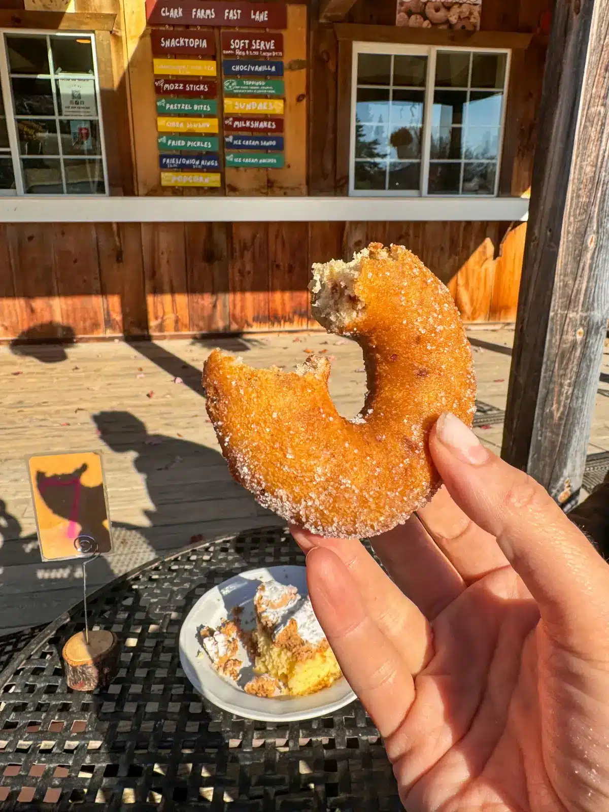 hand holding an apple cider donut in granby connecticut.