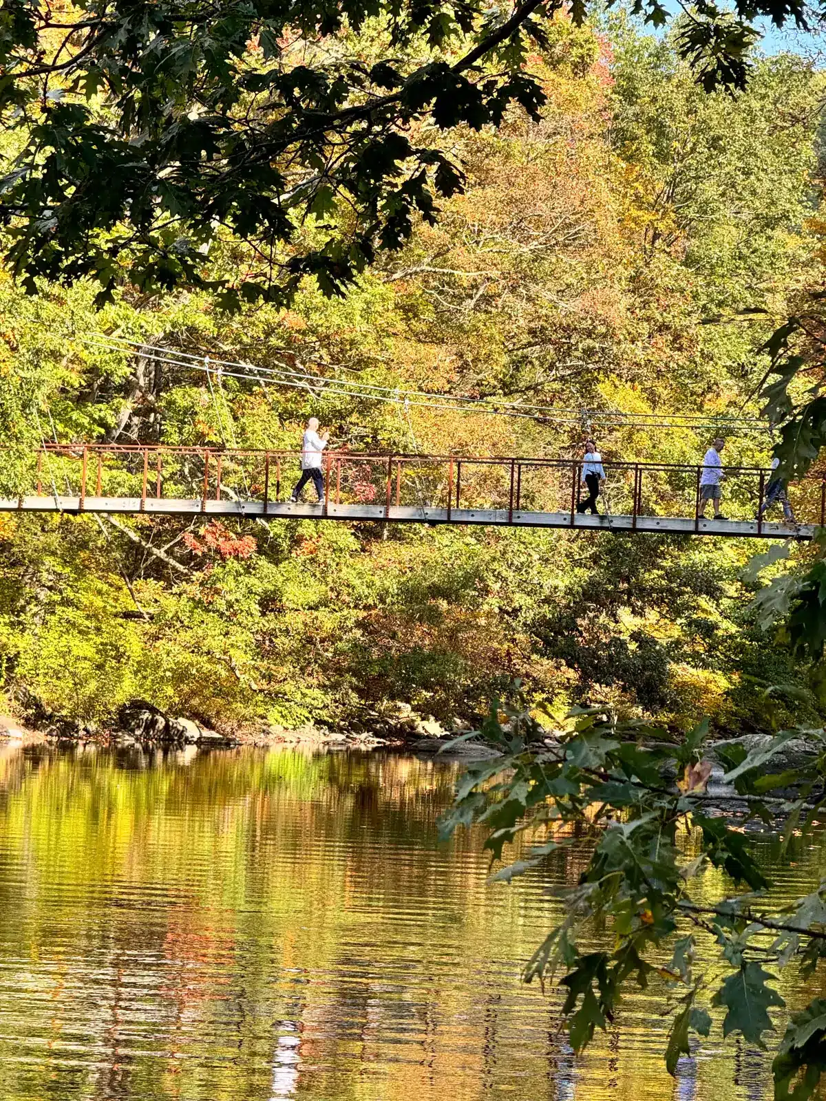 river at hidden valley preserve in connecticut in fall surrounded by green, red, and orange colored trees and blue skies above.