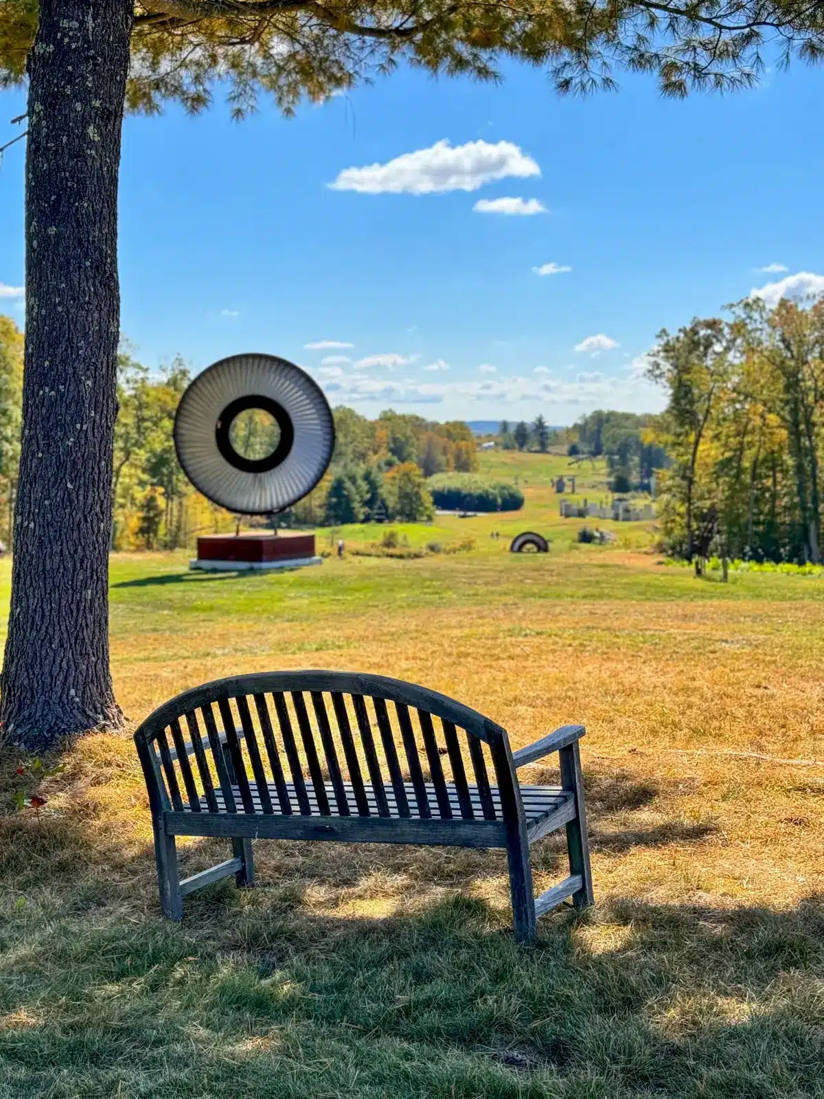 hogpen hill farms sculpture park in fall with green grass and fall colored trees.