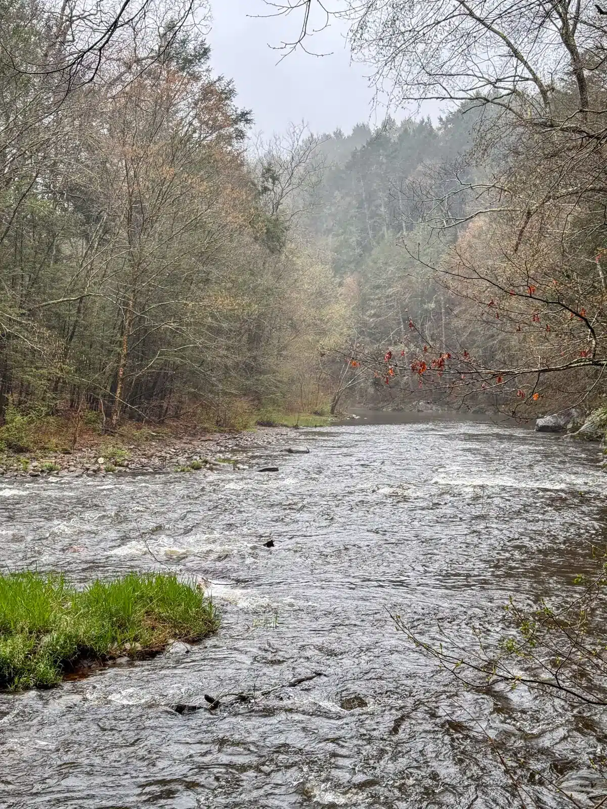 rolling river on a figgy day in late fall surrounded by mostly bare trees with some orange leaves left.