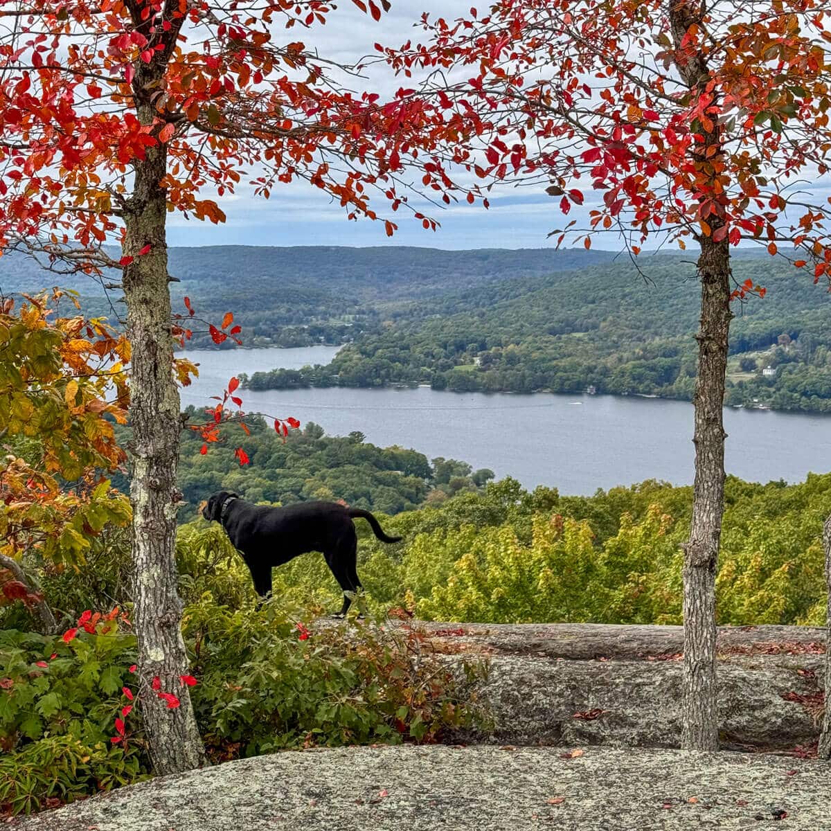 Top 10 Hikes in Washington, CT; Hidden Gems! All Levels