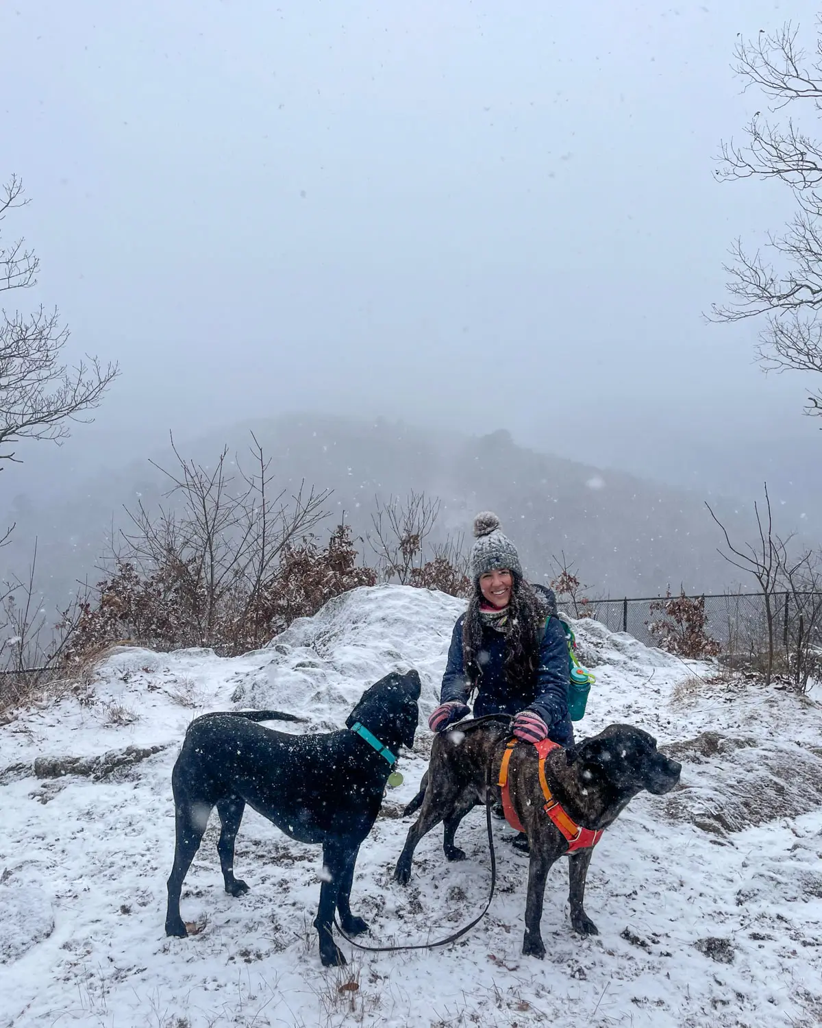 woman in gray snow hat and navy blue jacket on top of snowy overlook with two big black dogs in washington CT.