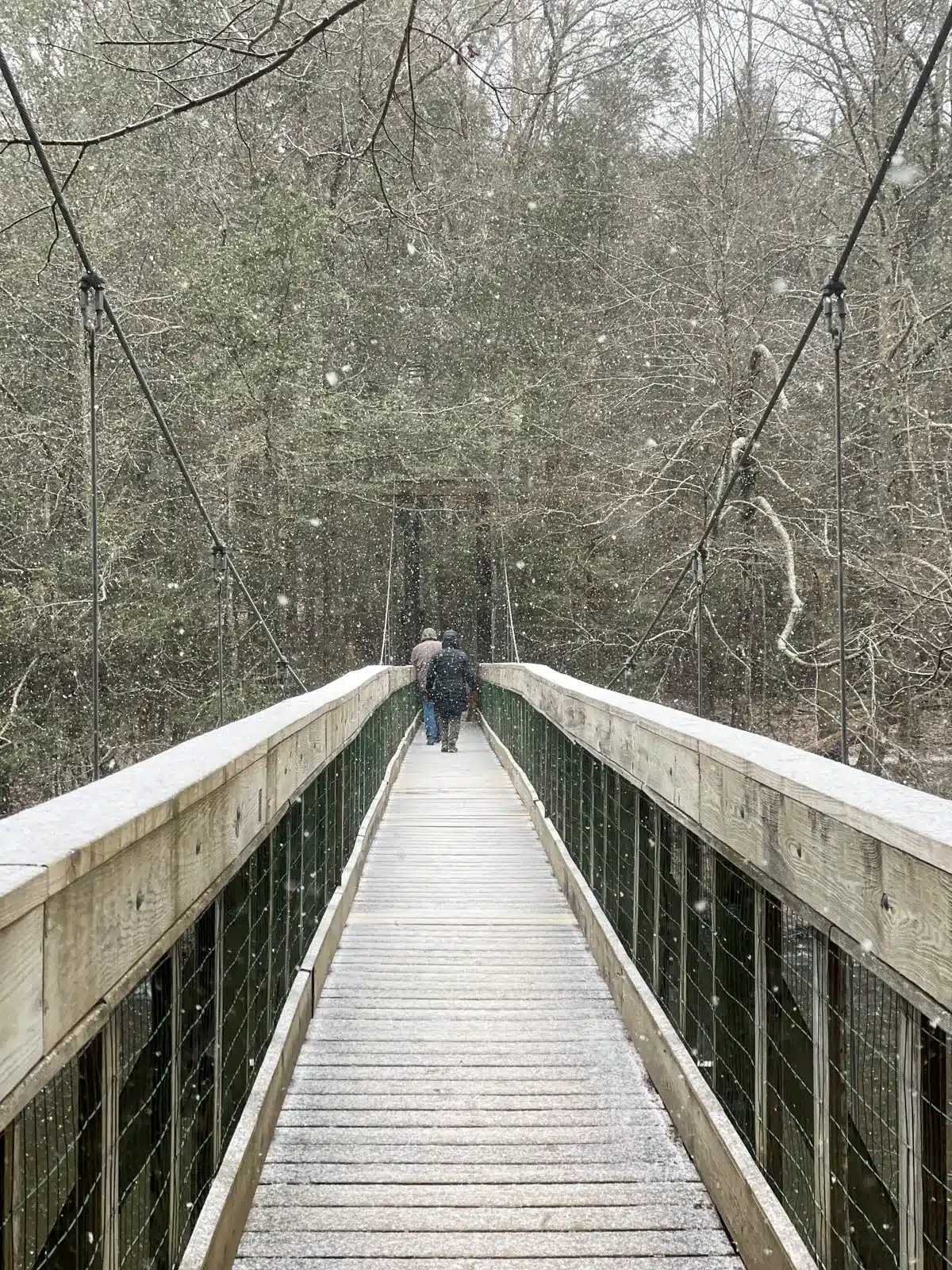 wooden suspension bridge in steep rock preserve in winter with light snow falling and snow on the railings of the bridge.