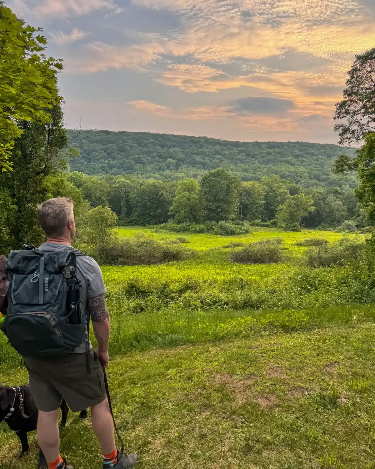 man standing on left side of photo with blonde hair and a backpack in front of a bright green meadow in early summer and soft pink pastel sky on a hike in washington depot connecticut.