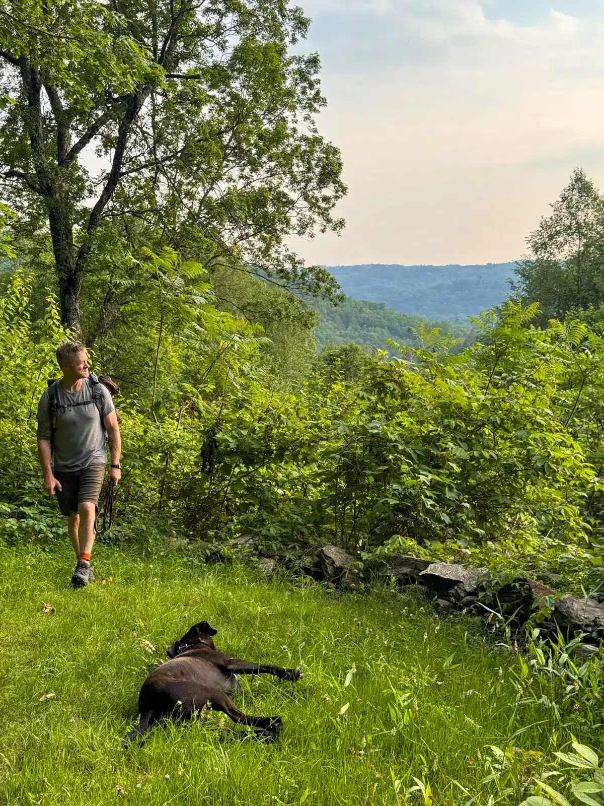 overlook just before sunset with soft pinkish sky and bright green trees and hill in distance and man looking out at the view.