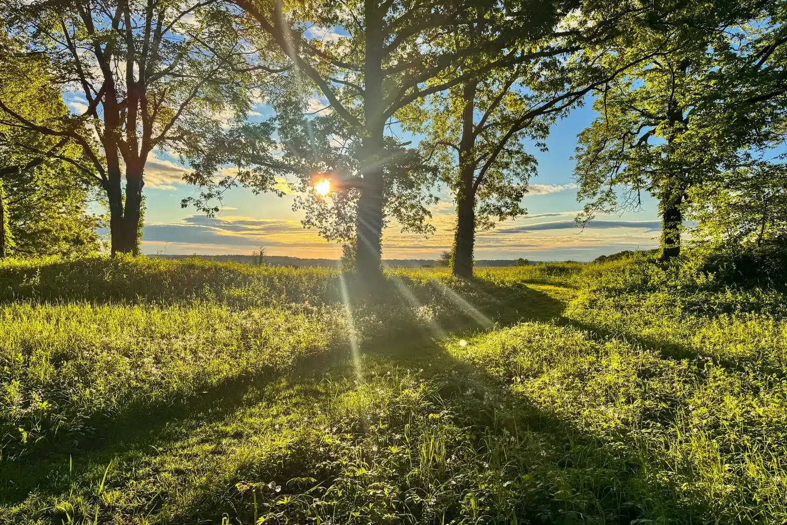 sunrise over a hill of bright green grass at a hike in washington depot connecticut.