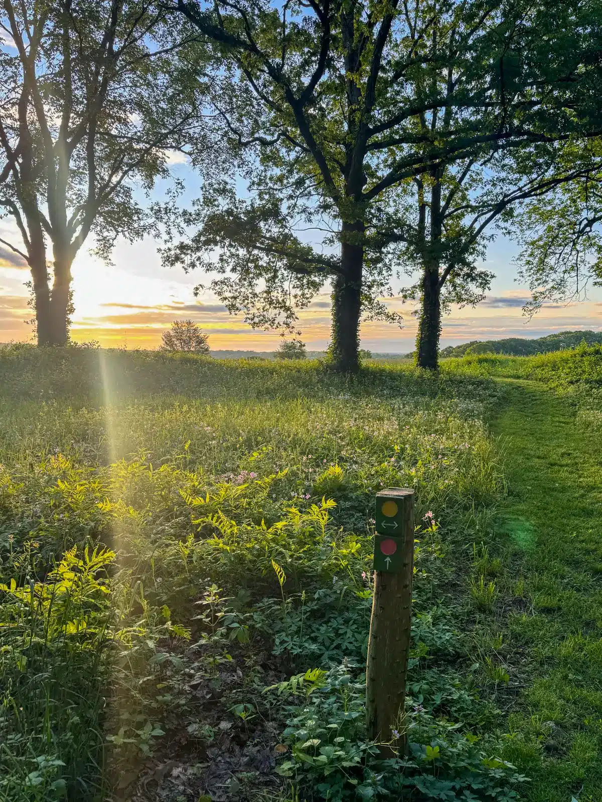at a hike in washington depot connecticut.